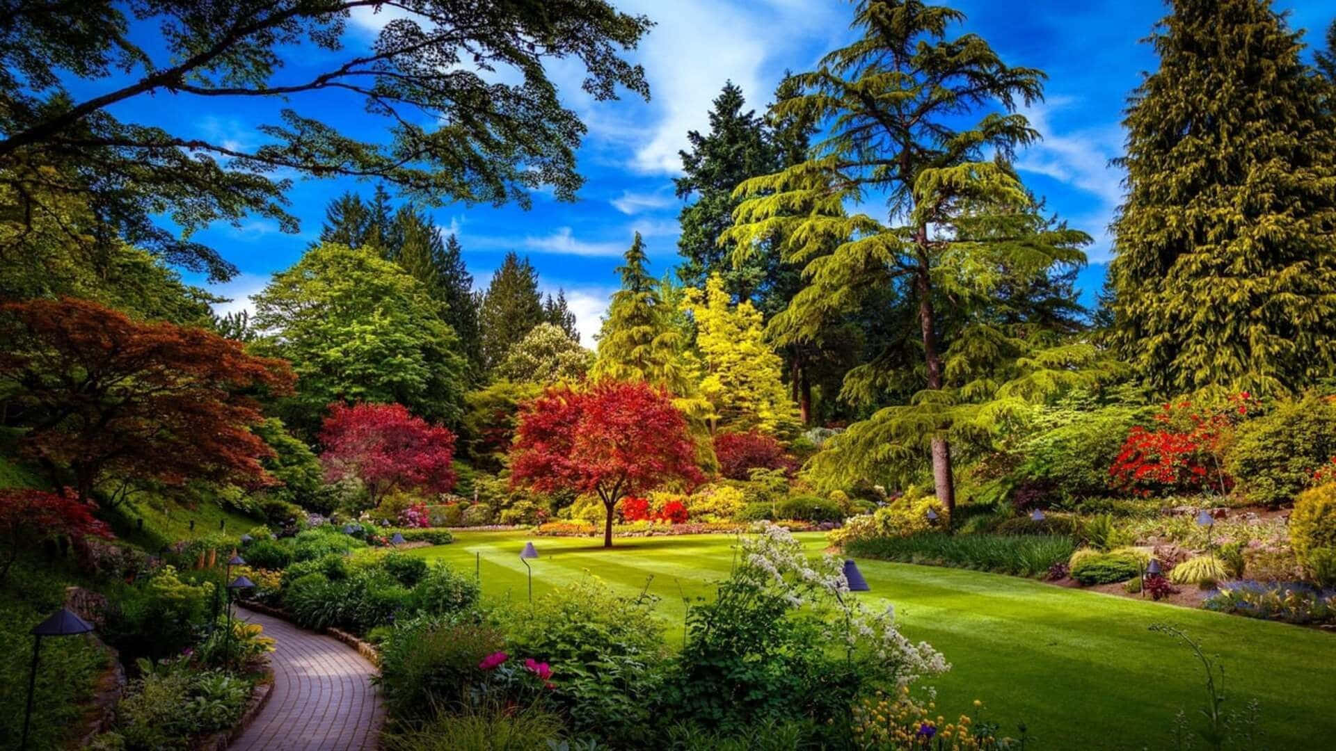 1080p Luontotausta Butchart Gardens Taustakuvat