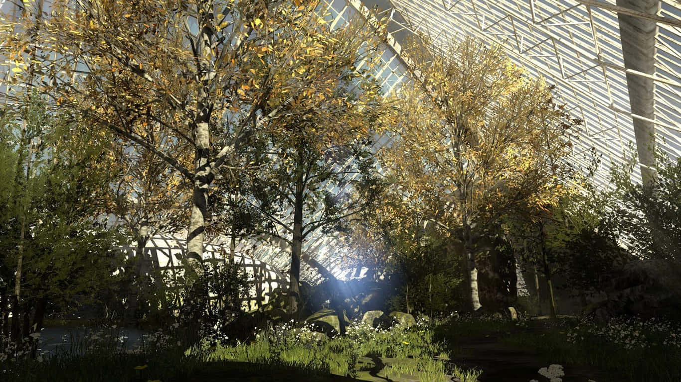 1366x768 The Talos Principle Gehenna-metsä Taustakuva Taustakuvat