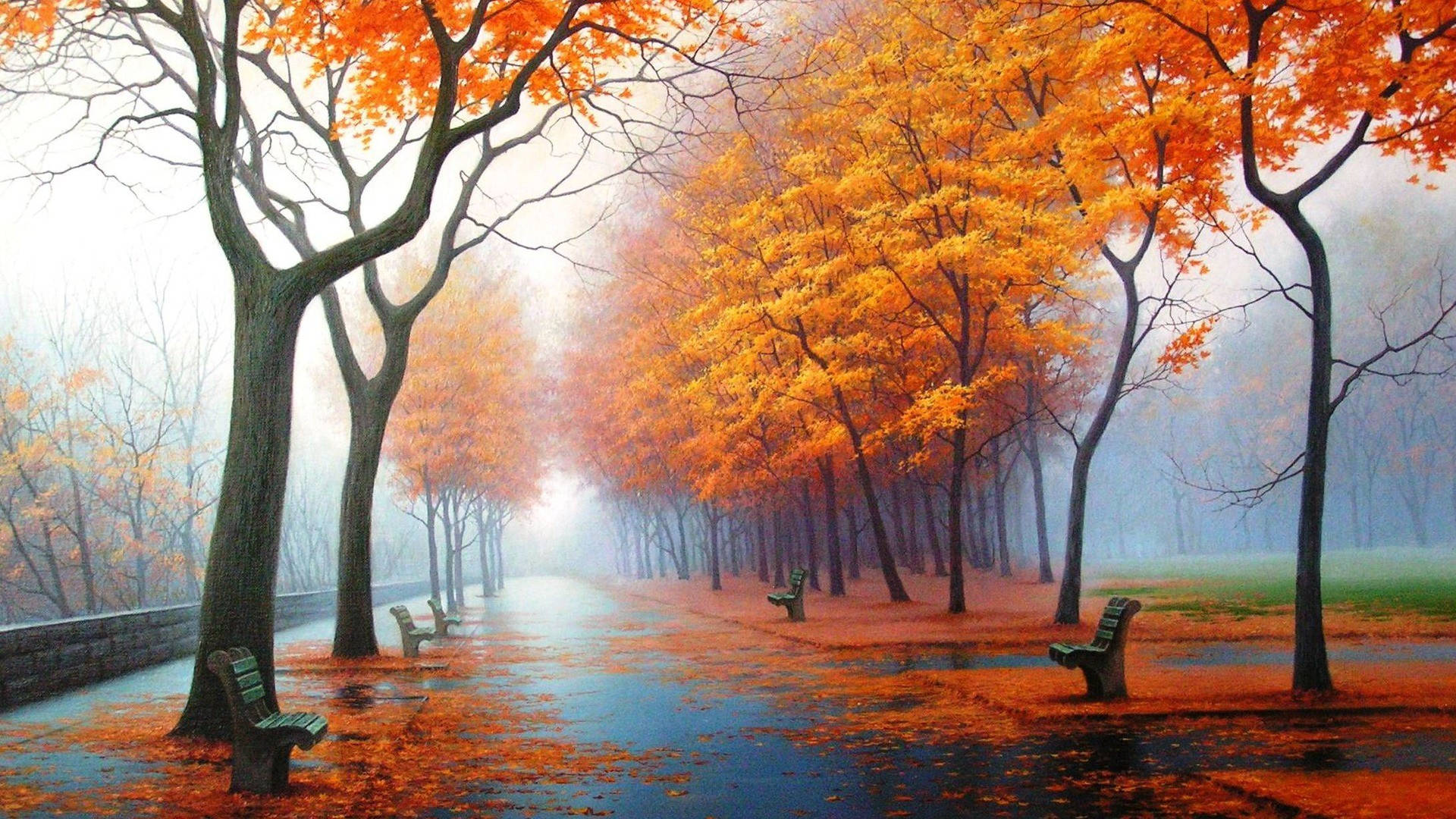 1920x1080 Full HD luonto oranssit lehdet puut Taustakuvat