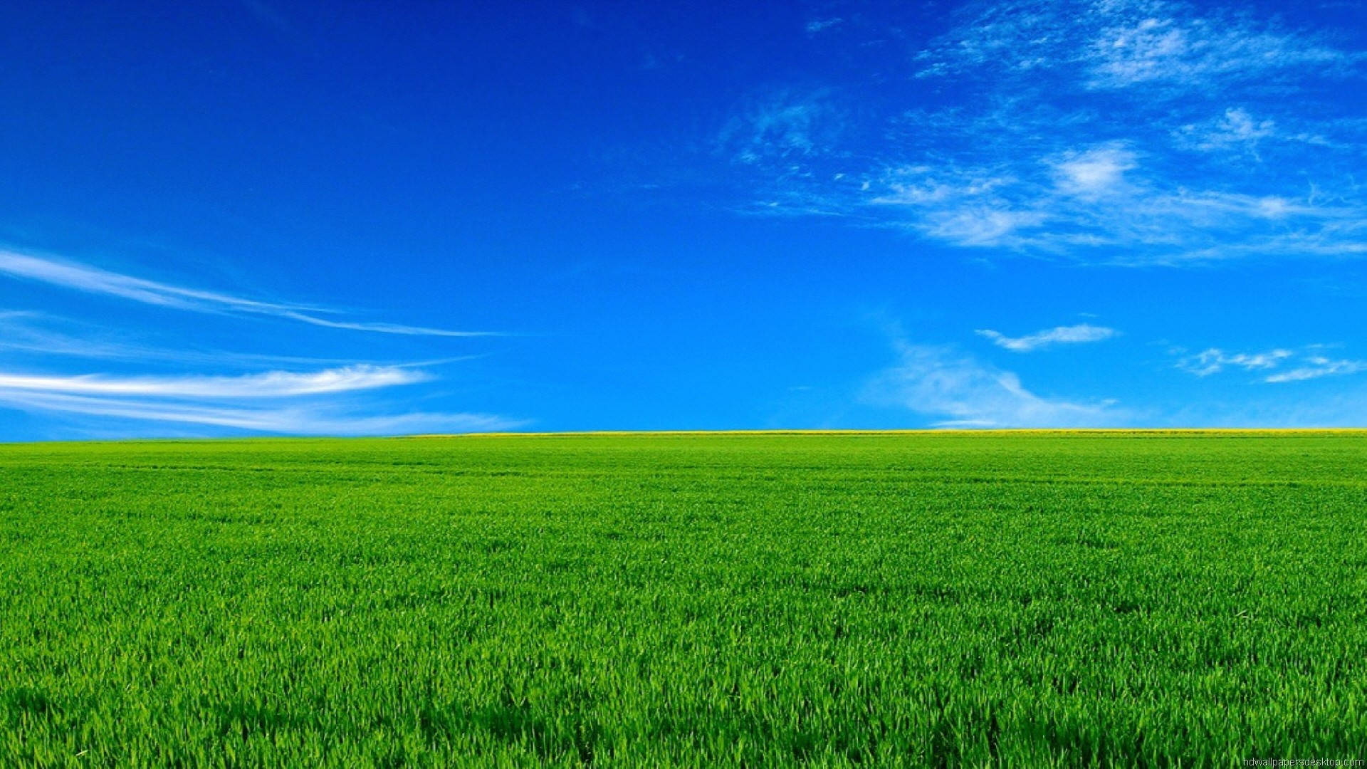 1920x1080 Full HD Luonto Vihreä Ruoho Sininen Taivas Taustakuvat