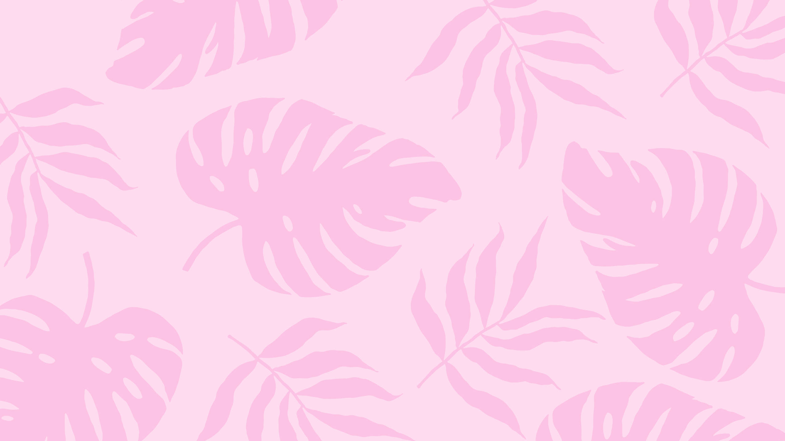 2560x1440 Kesäkasvit Pinkki Estetiikka Taustakuvat