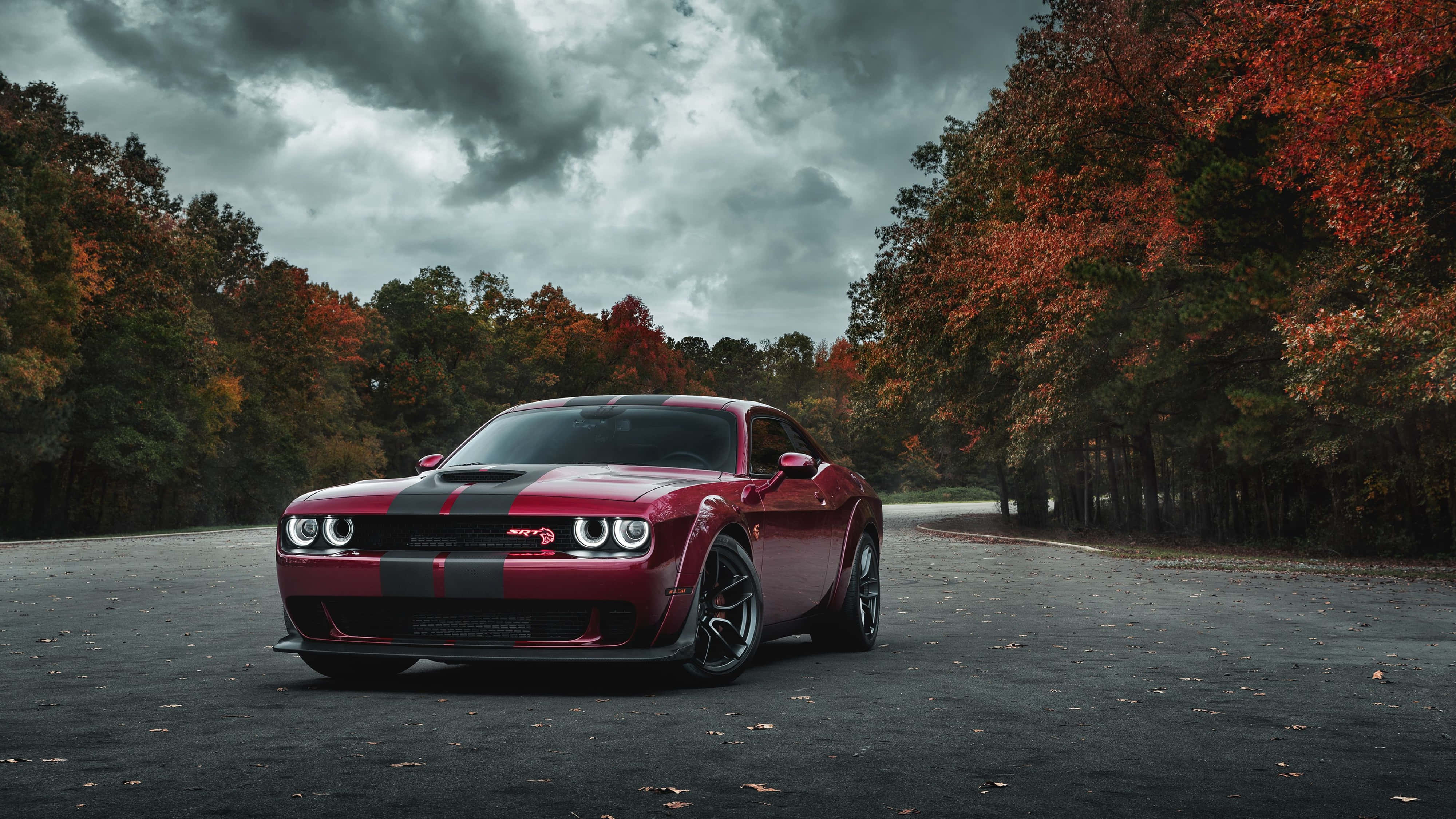 4K Dodge Hellcat metsäparkkipaikalla Taustakuvat