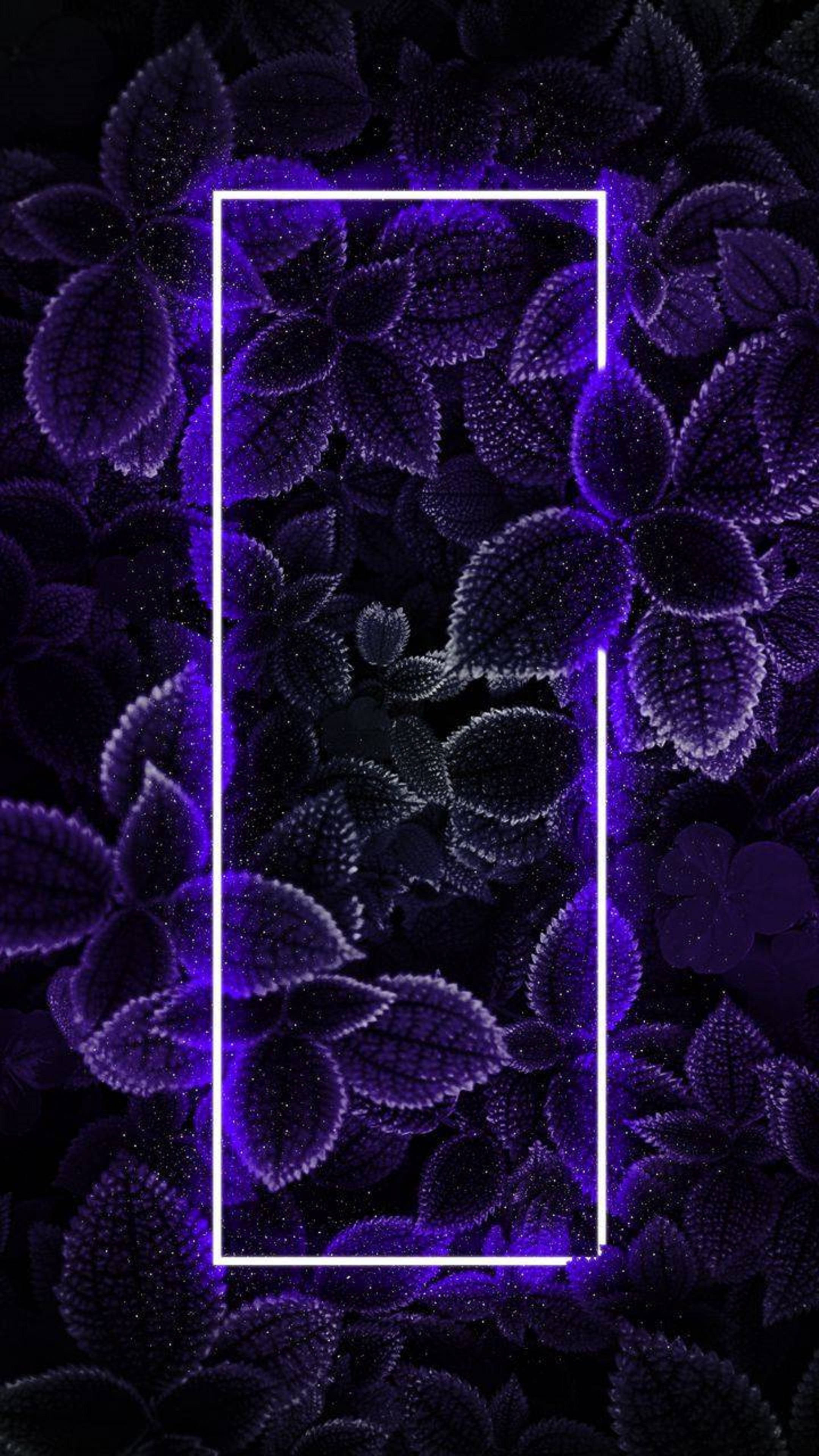 4K Neon iPhone Lehvistö Taustakuvat