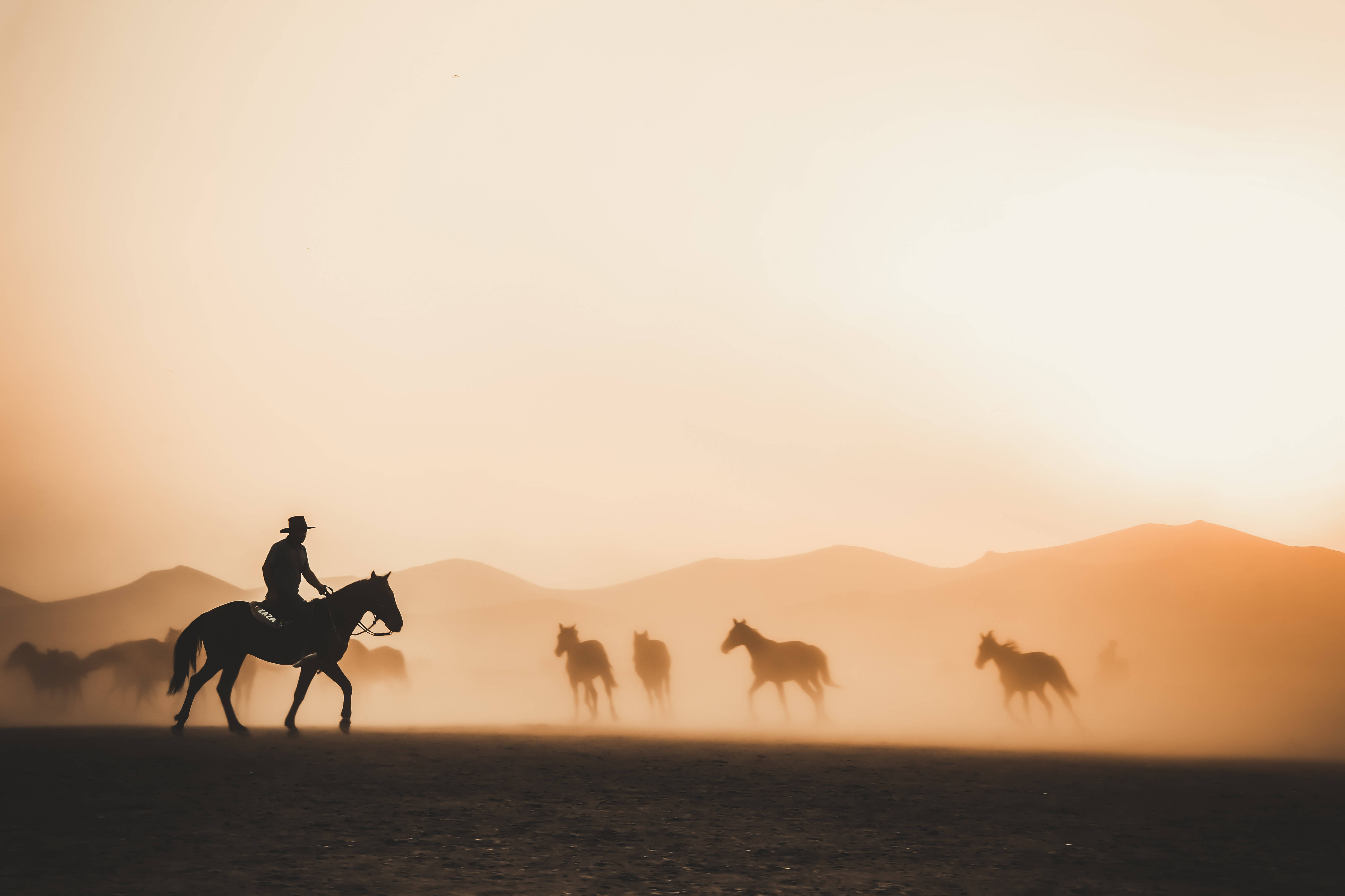4K Tabletti Cowboy Karjaa Kokoamassa Hevosia Taustakuvat