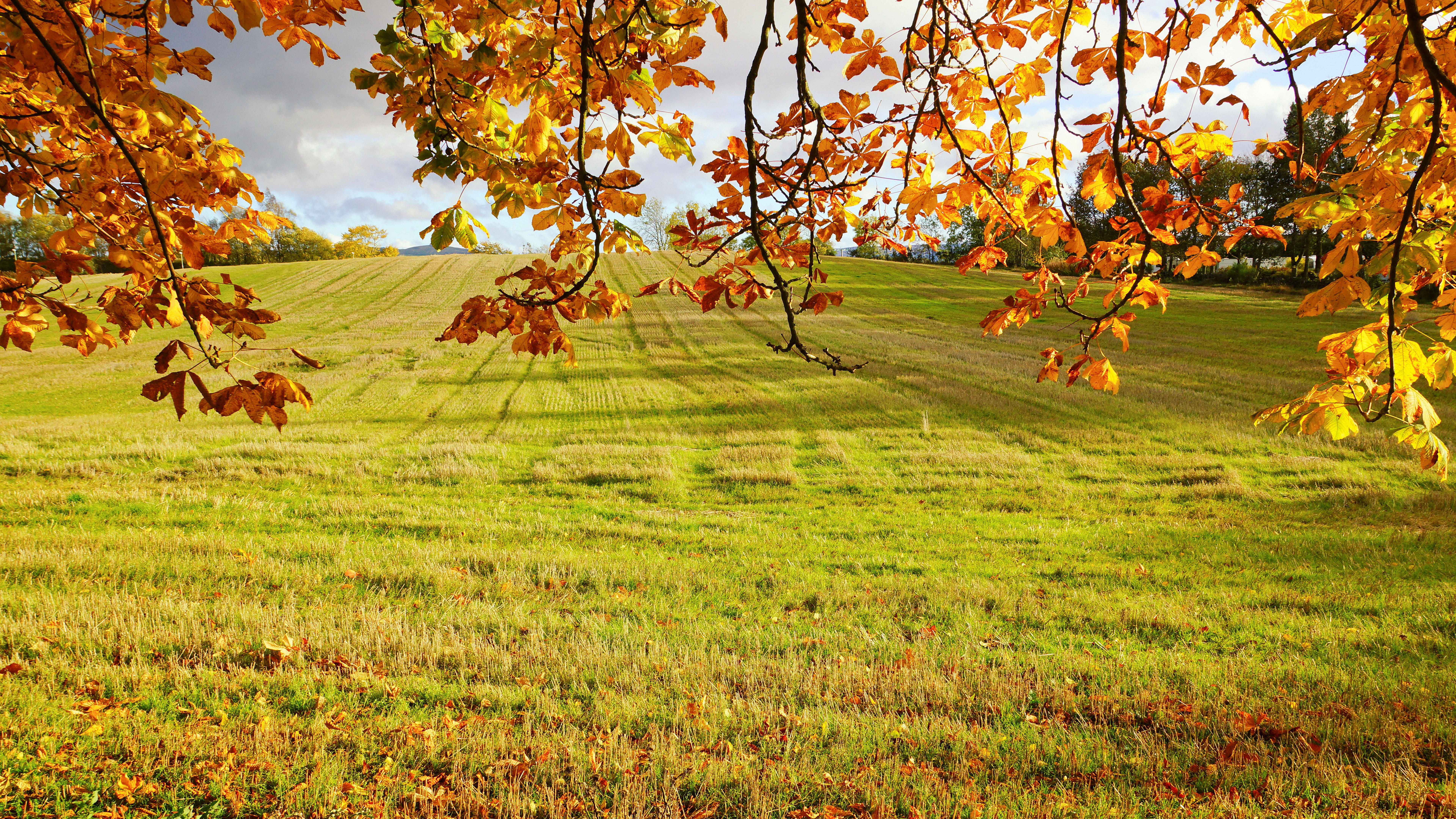 8K 7680x4320 Ultra HD -tarkkuuden työpöydän maisema Taustakuvat