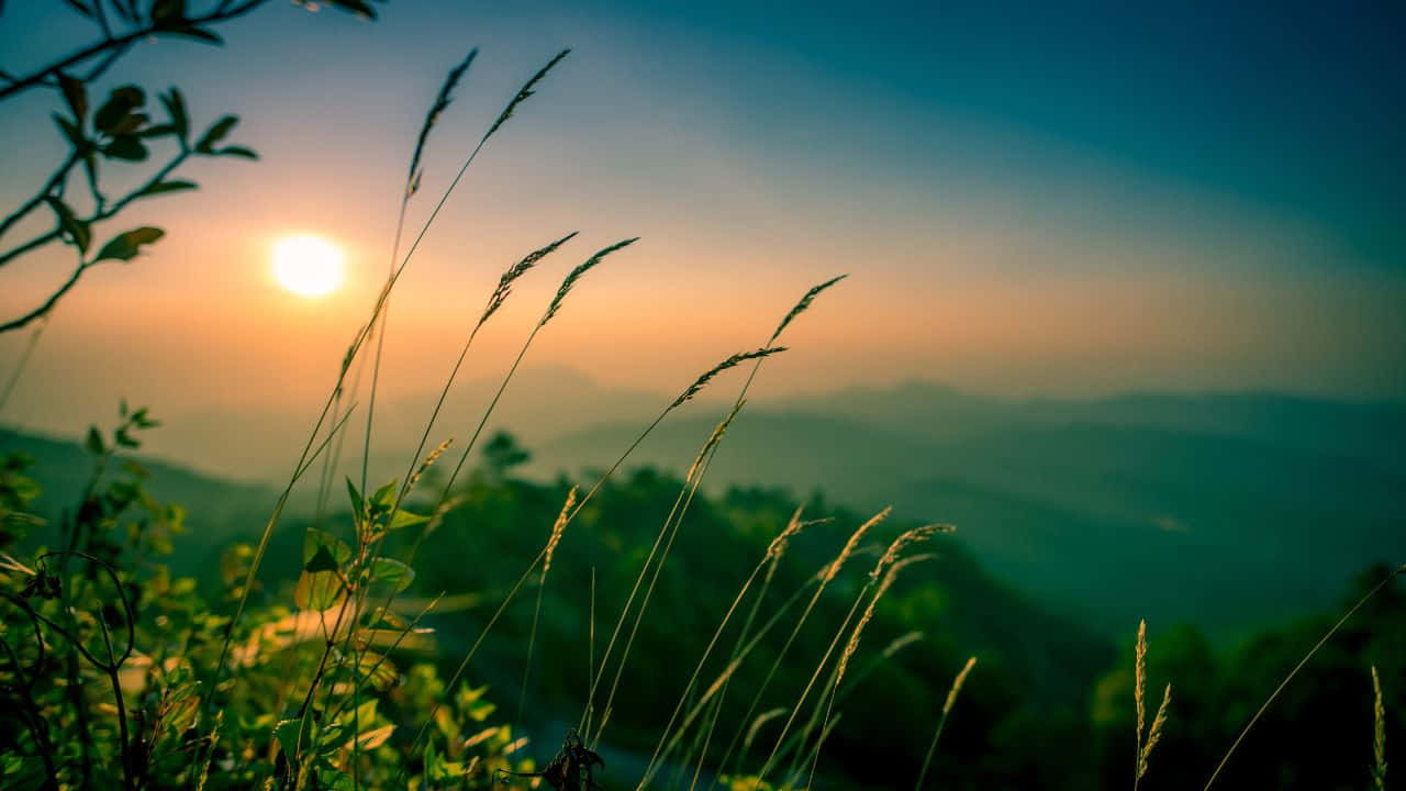 A serene landscape with rolling hills and gorgeous sunset Taustakuvat