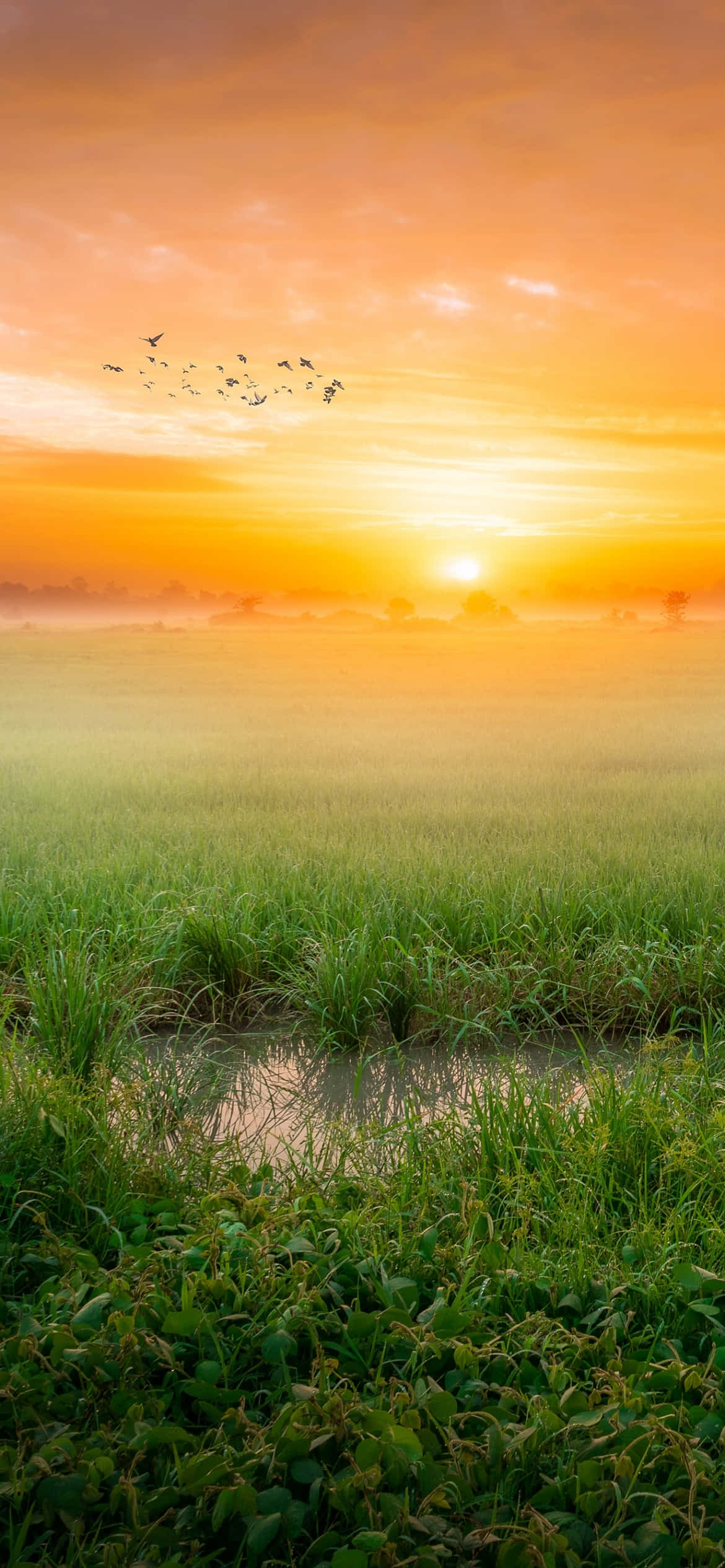 Aamun auringonnousu tuo toivoa ja optimismia päivään Taustakuvat