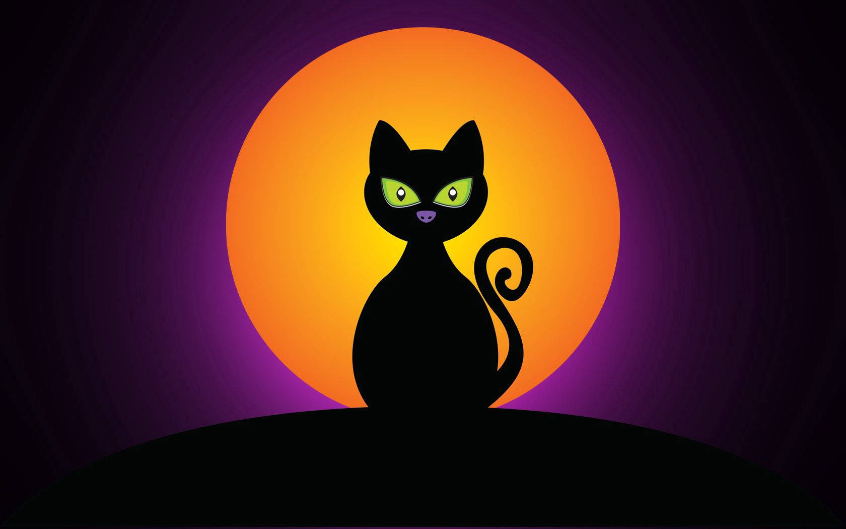 Aavemainen musta kissa ja salaperäinen Halloween-kuu Taustakuvat