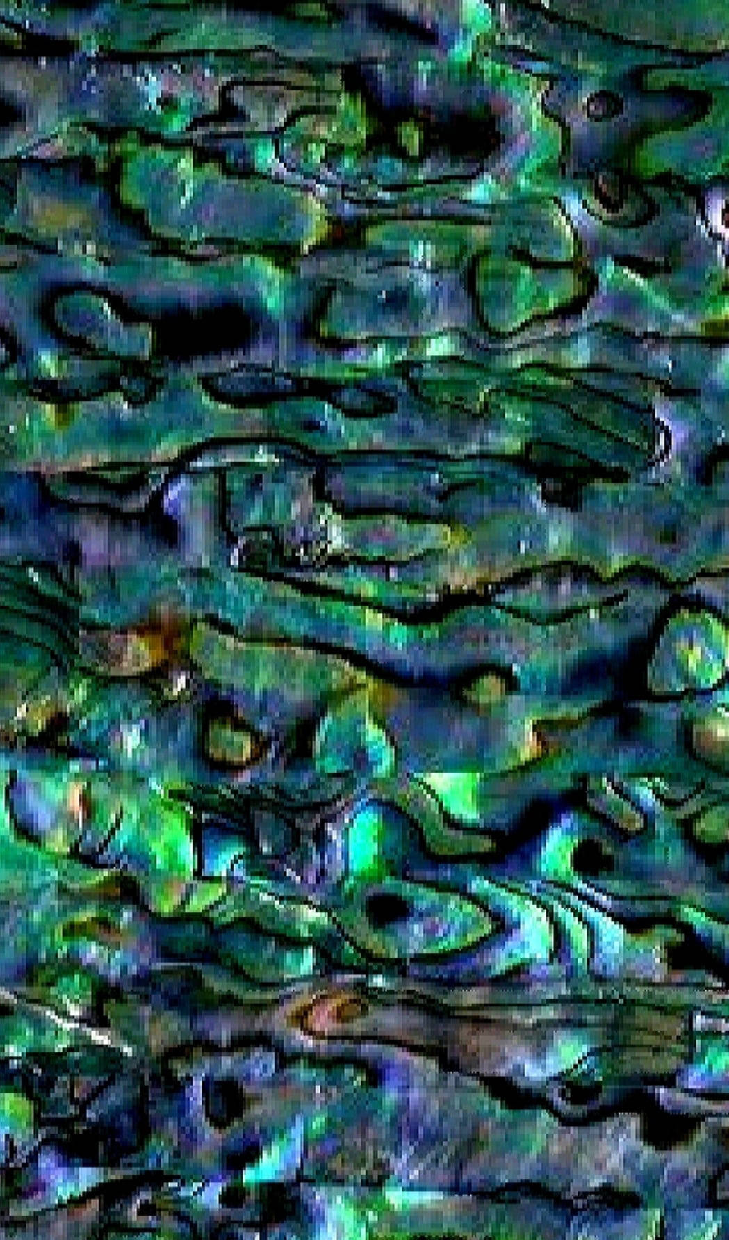 Abalone-värikkäät kuoritekstuurit Taustakuvat