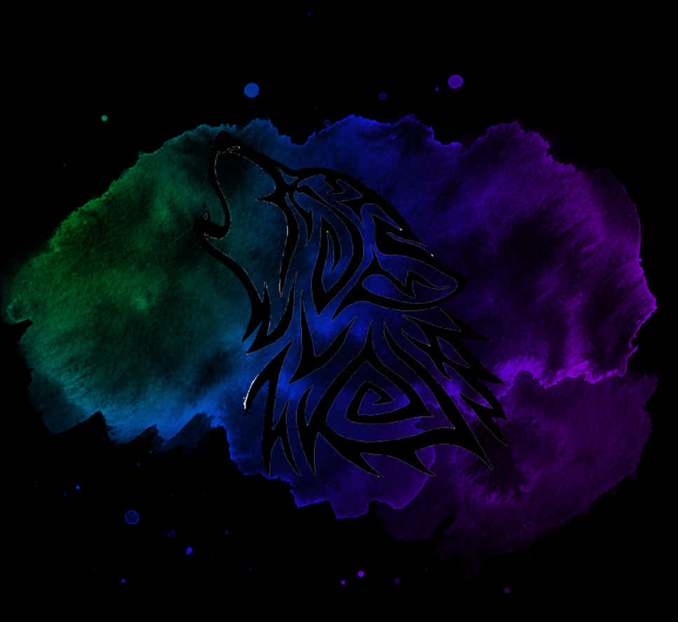 Abstrakti Susi Siluetti Nebula Taustakuvat
