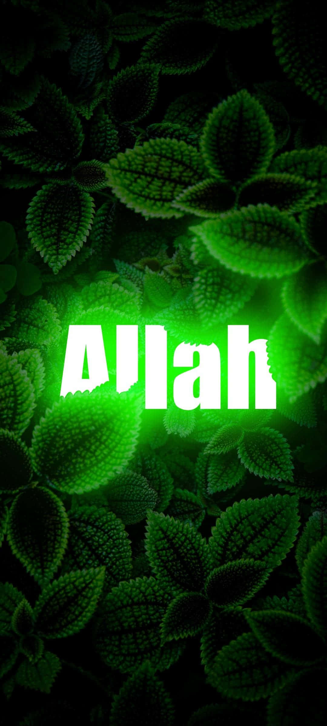 Allah on korkein luoja ja kaiken elämän lähde Taustakuvat