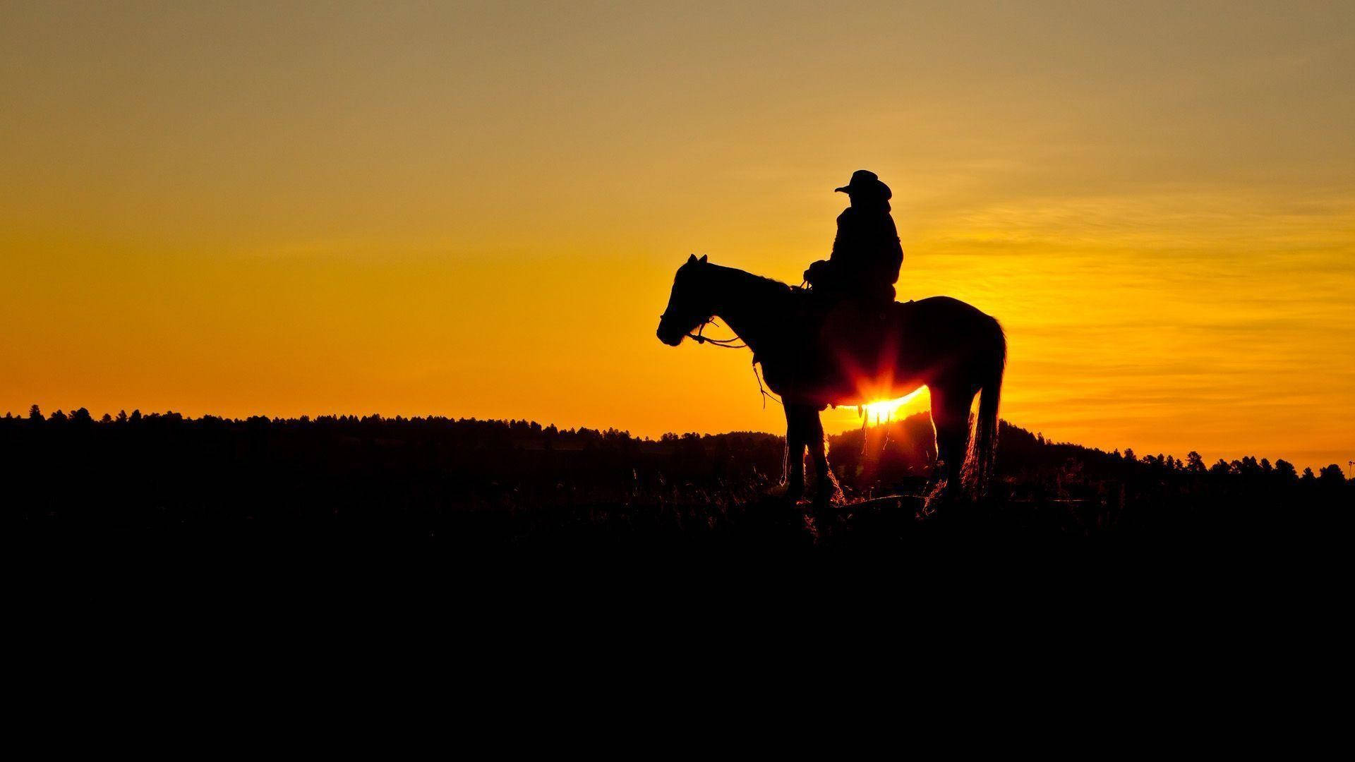 Amerikkalainen cowboy-siluetti Taustakuvat