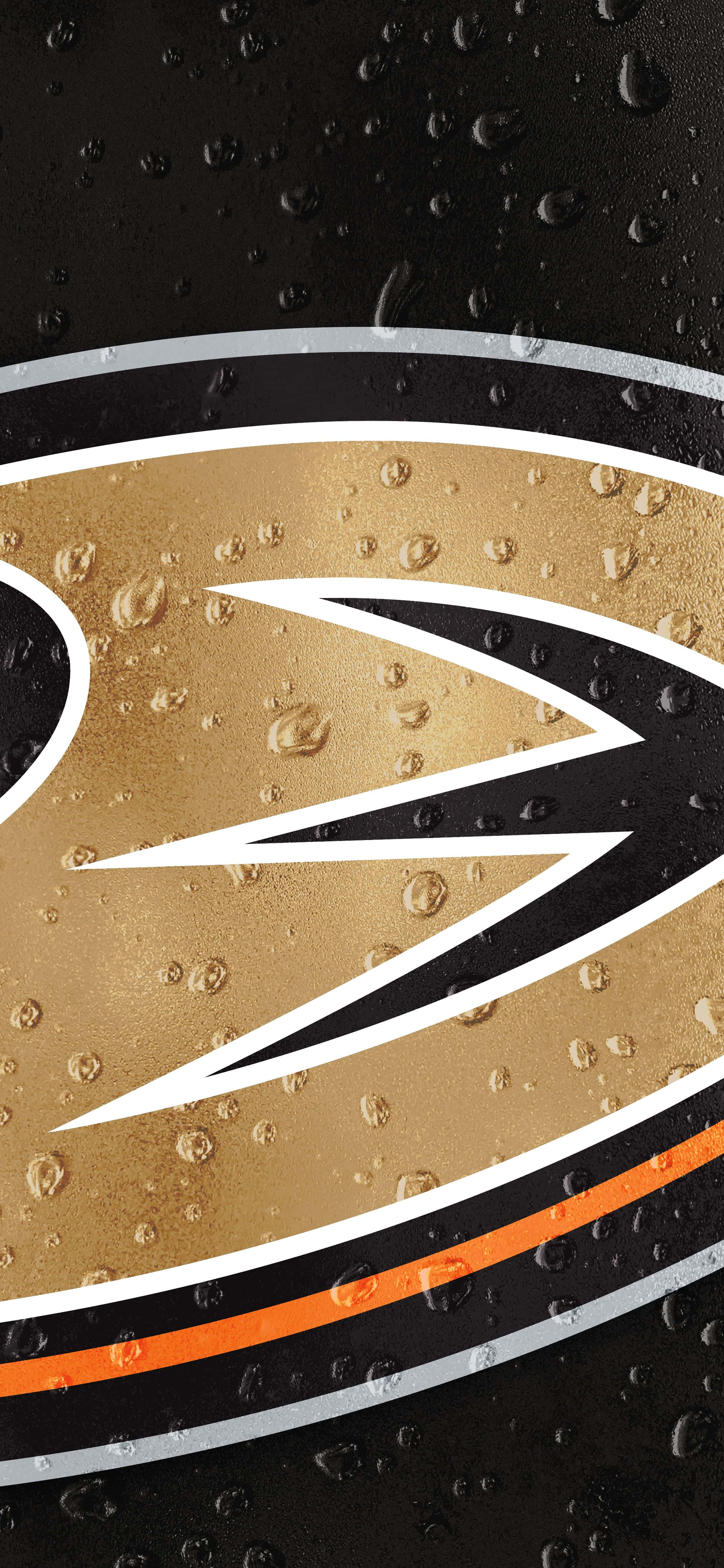 Anaheim Ducks astuu jäälle tyylillä Taustakuvat
