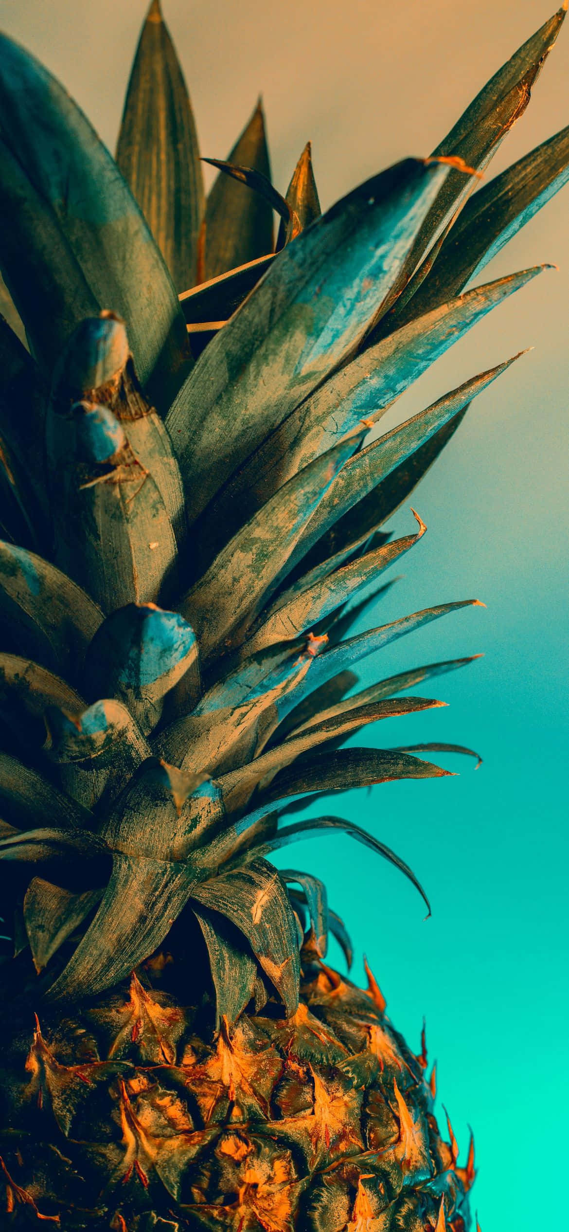 ananas sinisellä taivaalla Taustakuvat
