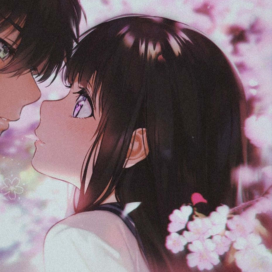 Anime-duo toiminnassa Taustakuvat