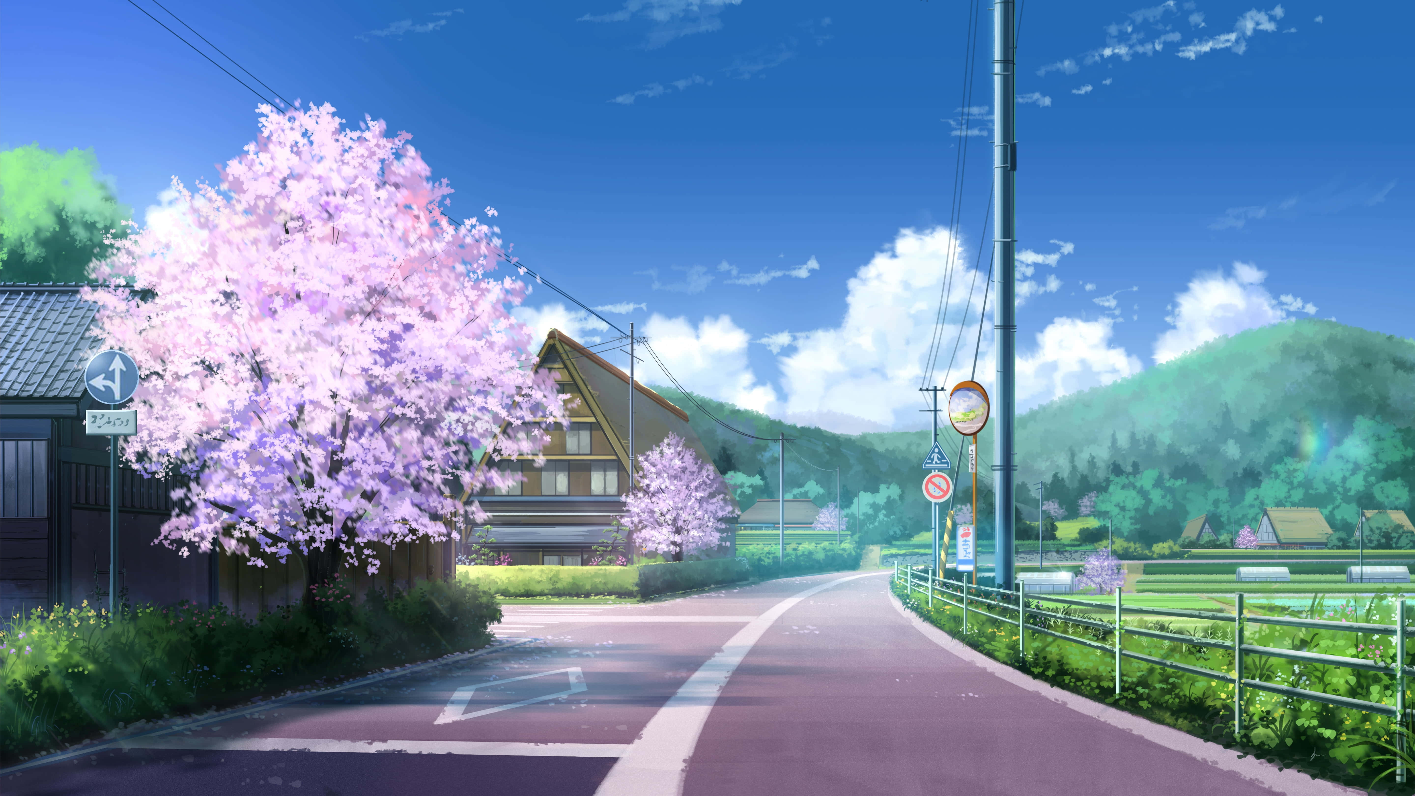 Anime-kirsikankukkatalo katutausta Taustakuvat