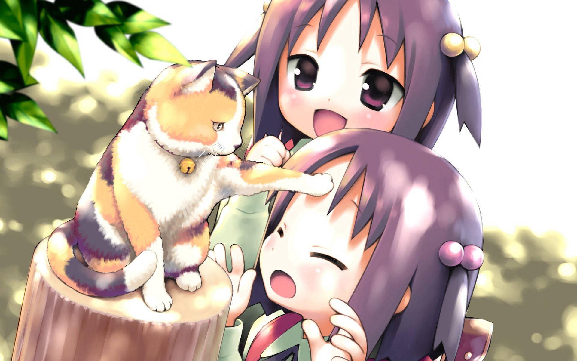 Anime-lapset kissan kanssa Taustakuvat