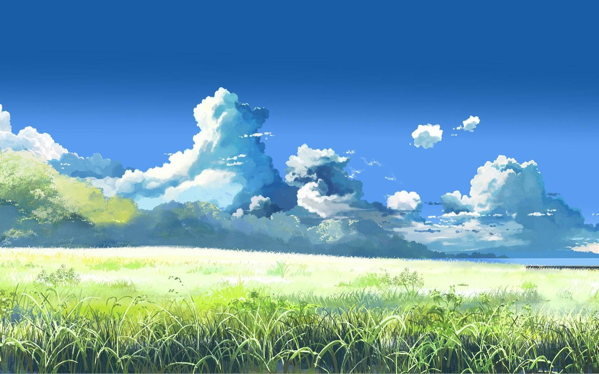 Anime-mainen nurmikkomaisema Taustakuvat