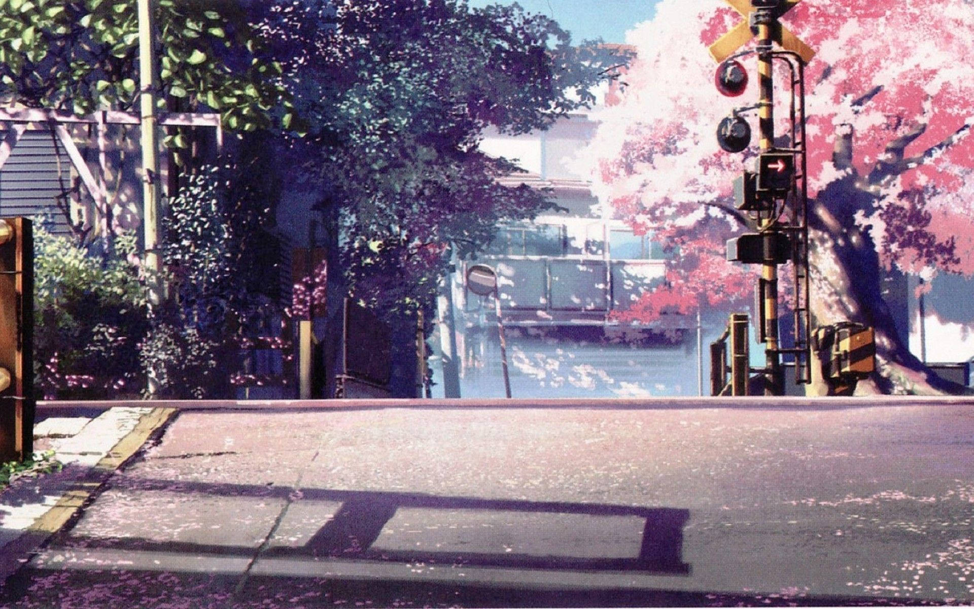 Anime maisema kirsikankukkia Taustakuvat