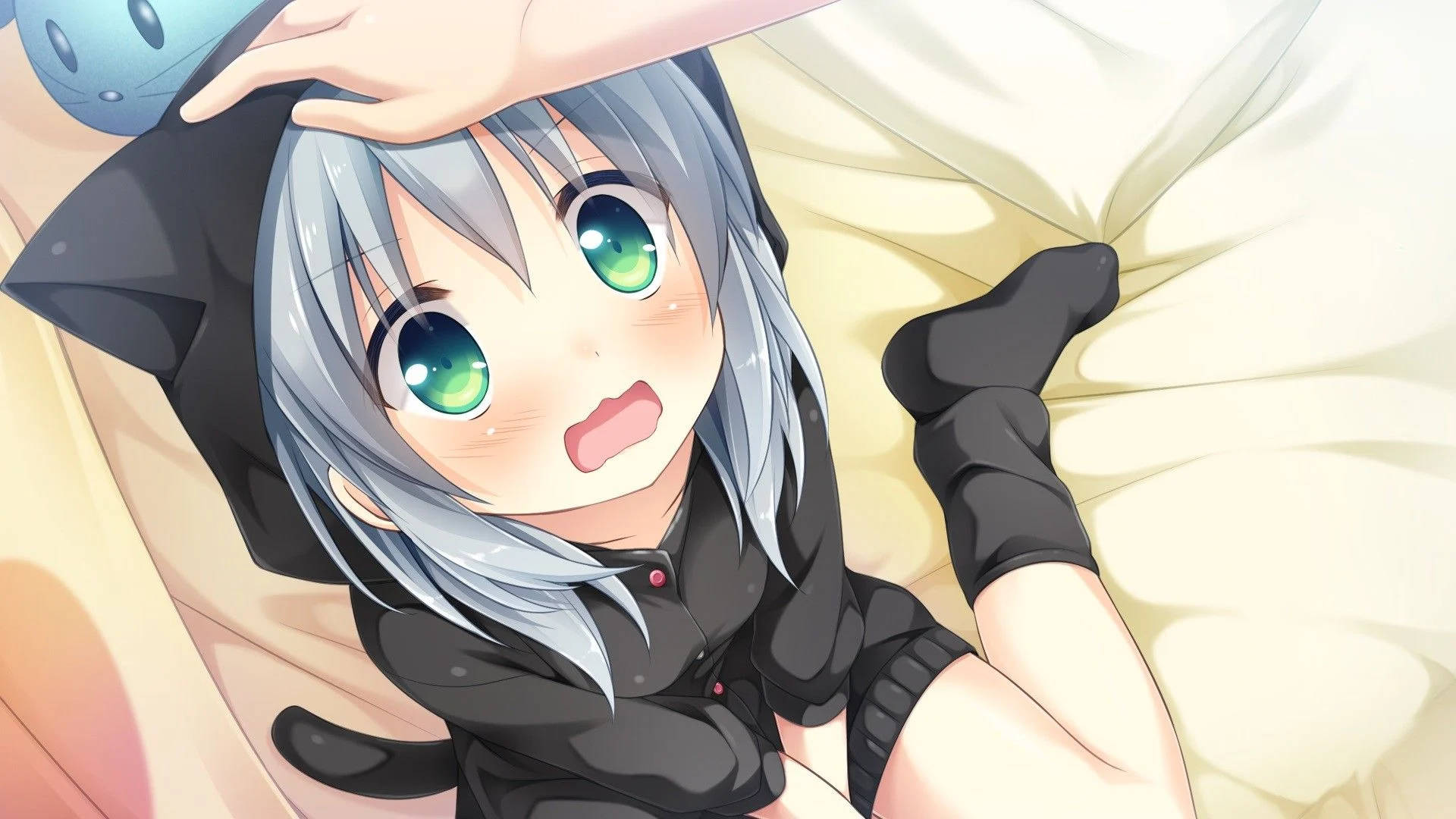 Anime-tyttö huppari Neko Taustakuvat