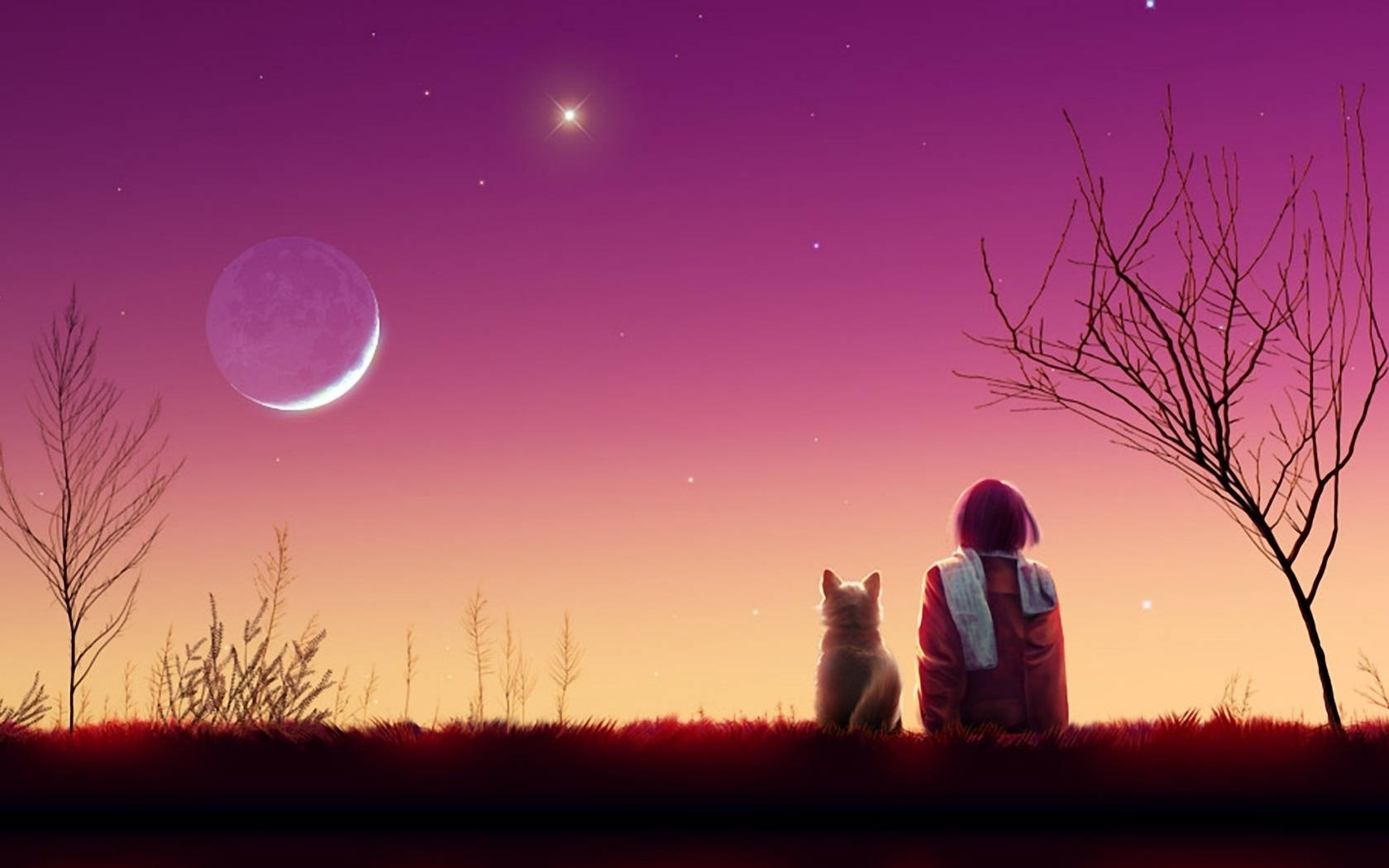 Anime-tyttö ja kissa auringonlaskussa Taustakuvat