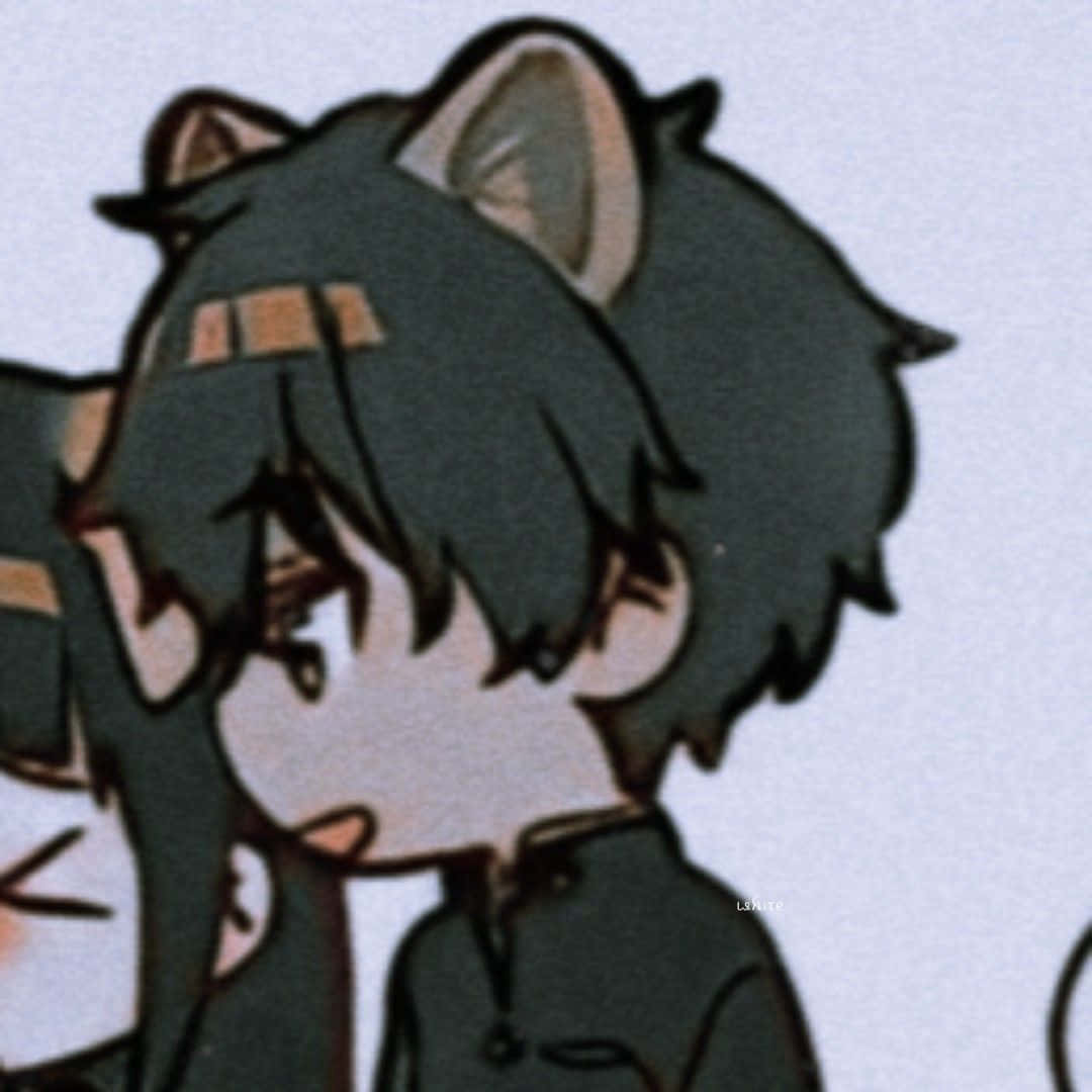 Animekissanpentupoikien yhteensopiva profiilikuva Taustakuvat
