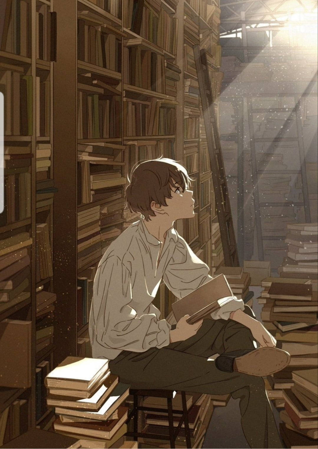 Animepoika kirjakasalla Taustakuvat