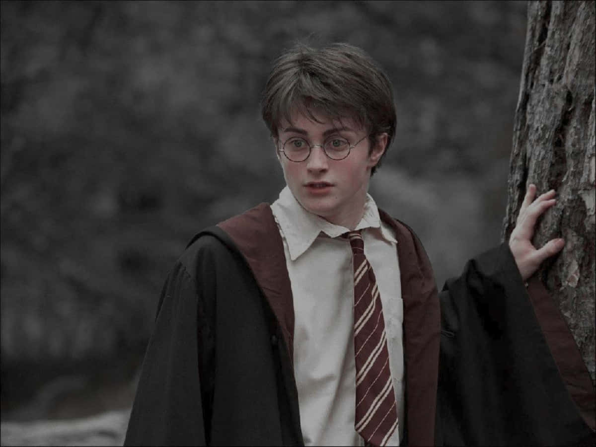"Anna mielikuvituksesi vaeltaa Harry Potterin taianomaisessa maailmassa." Taustakuvat