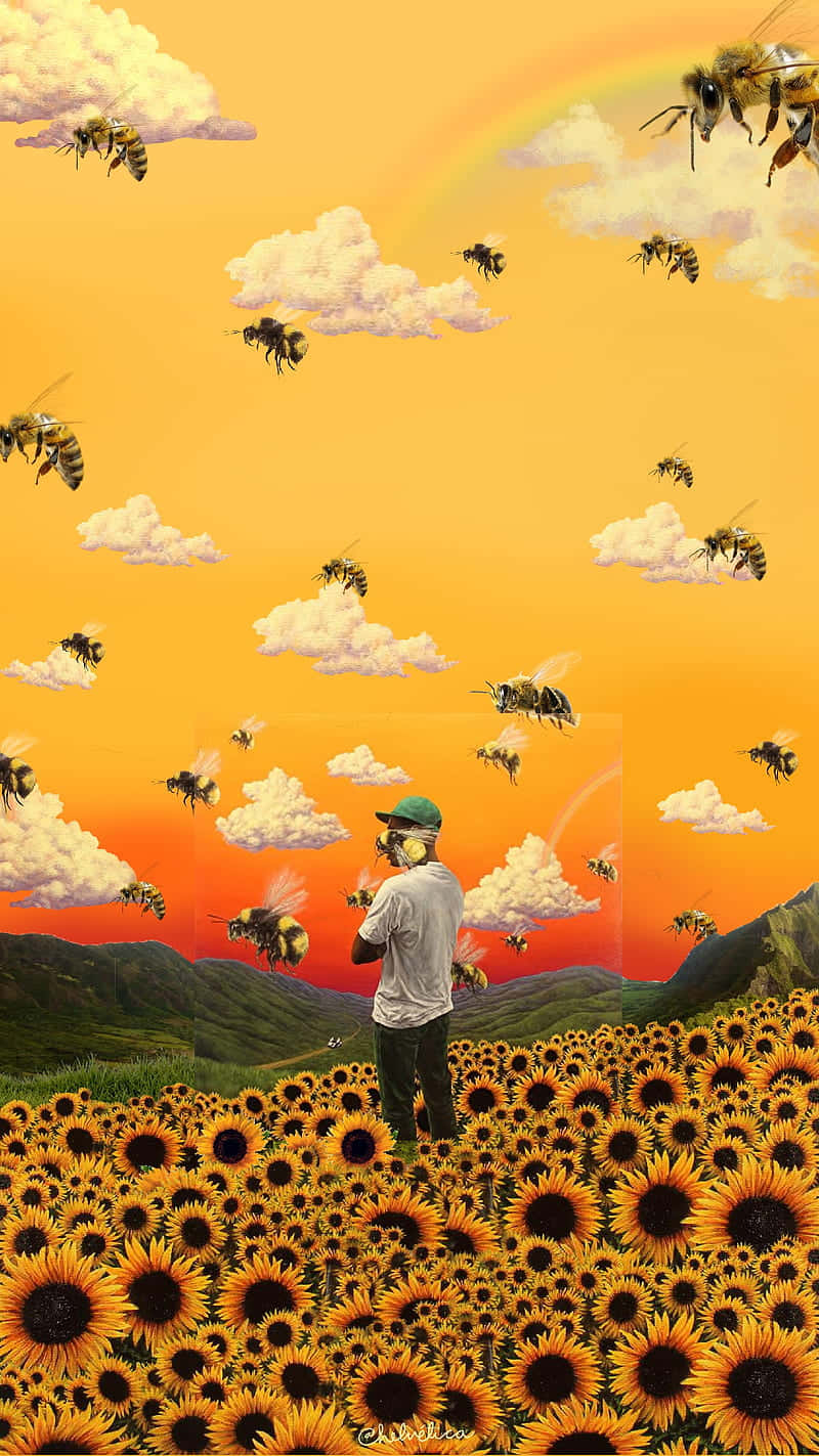 Auringonkukkakenttä Tyler The Creator PFP Taustakuvat