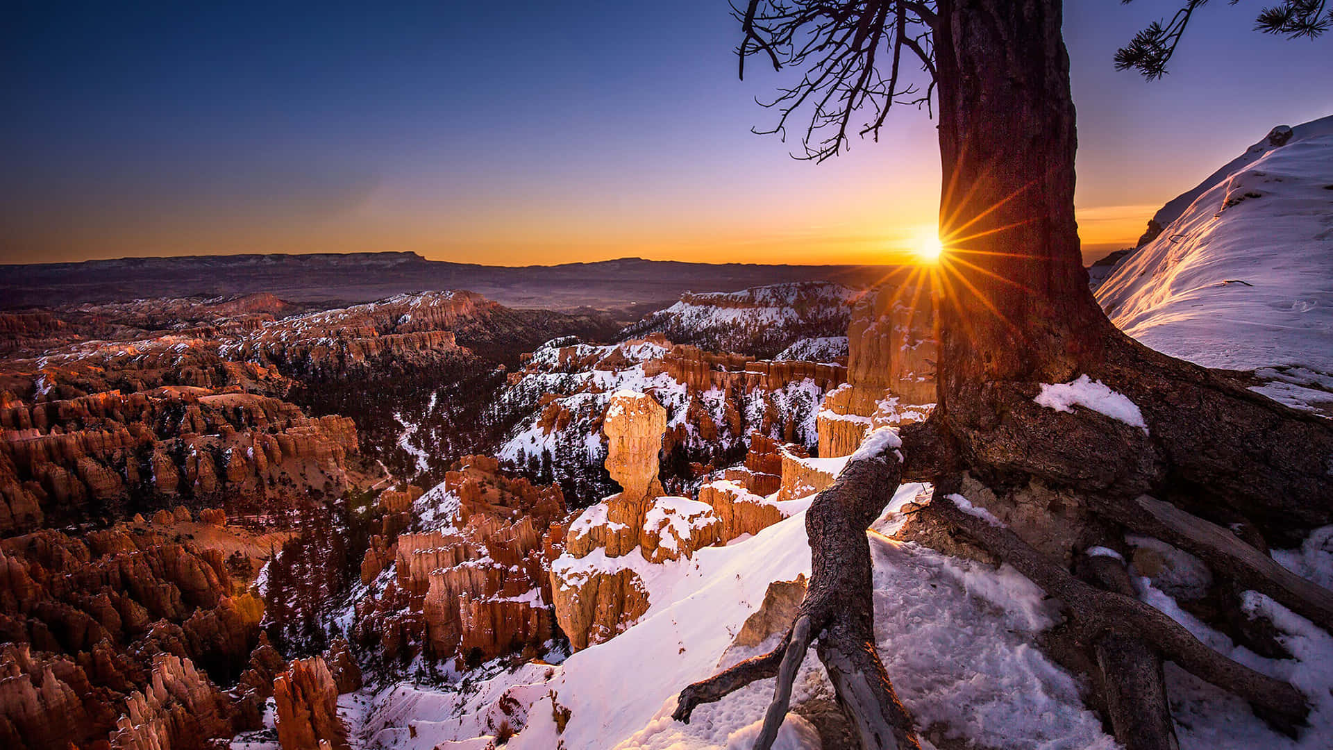 Auringonlasku Bryce Canyonin kansallispuistossa puun läpi Taustakuvat