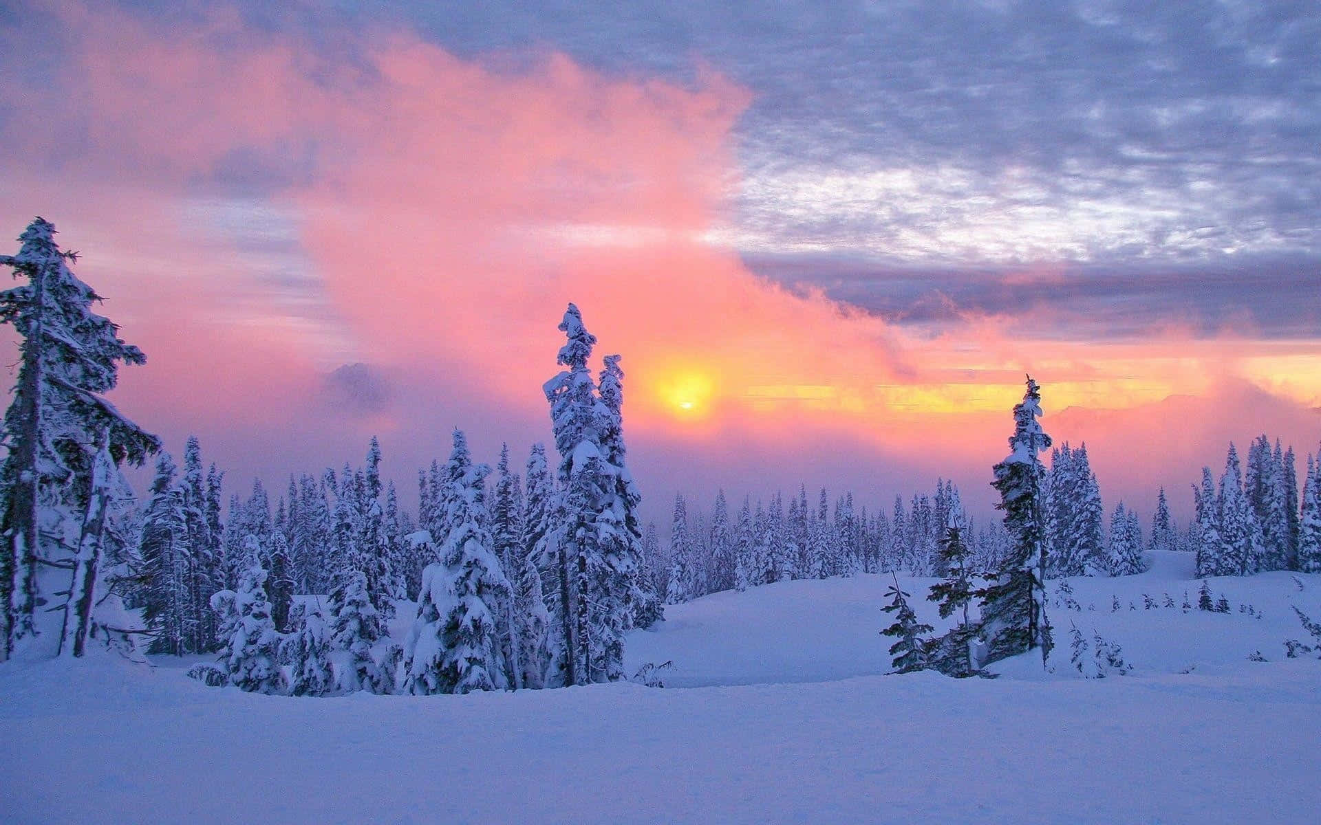 Auringonlasku talvisessa ihmemaassa -taustakuva Taustakuvat