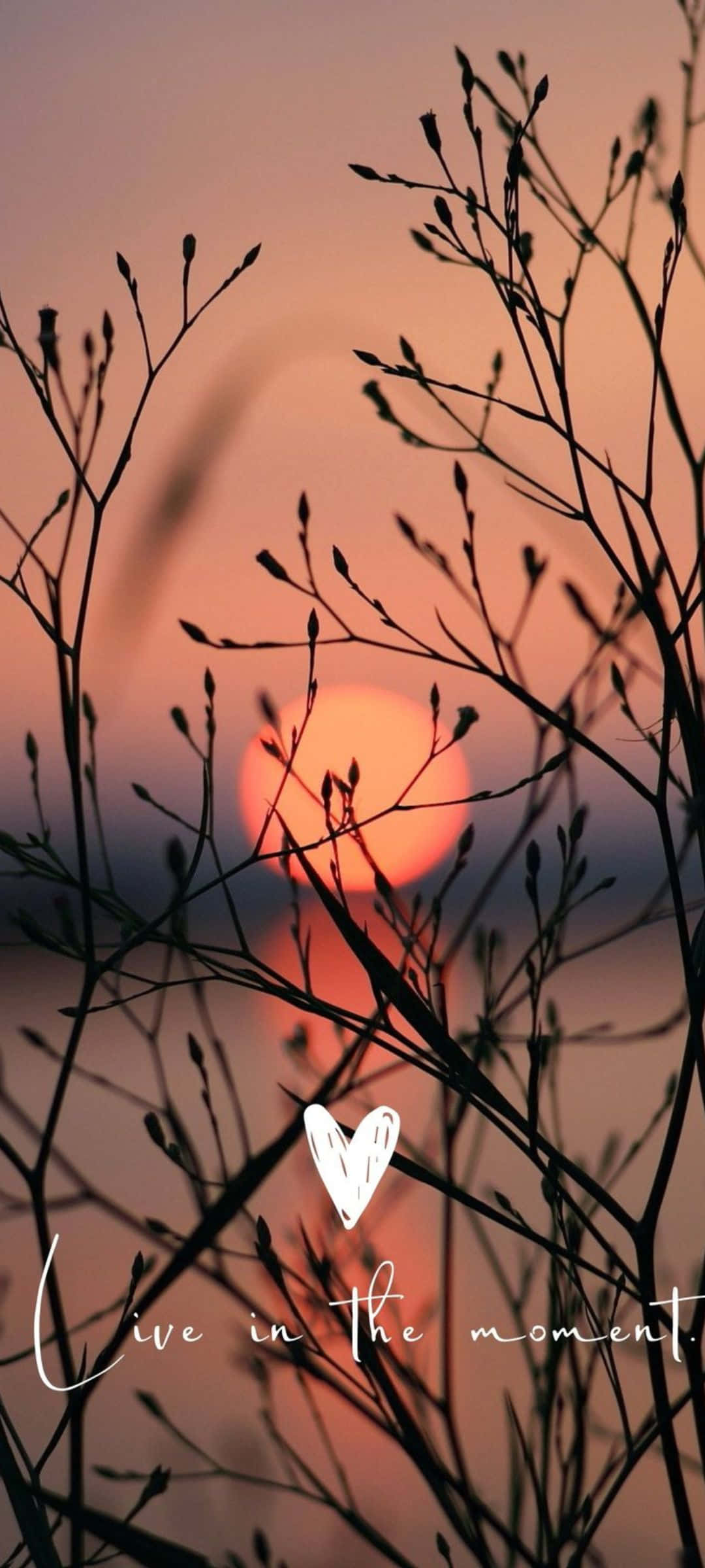 Auringonlaskun siluetti inspiraatio Taustakuvat