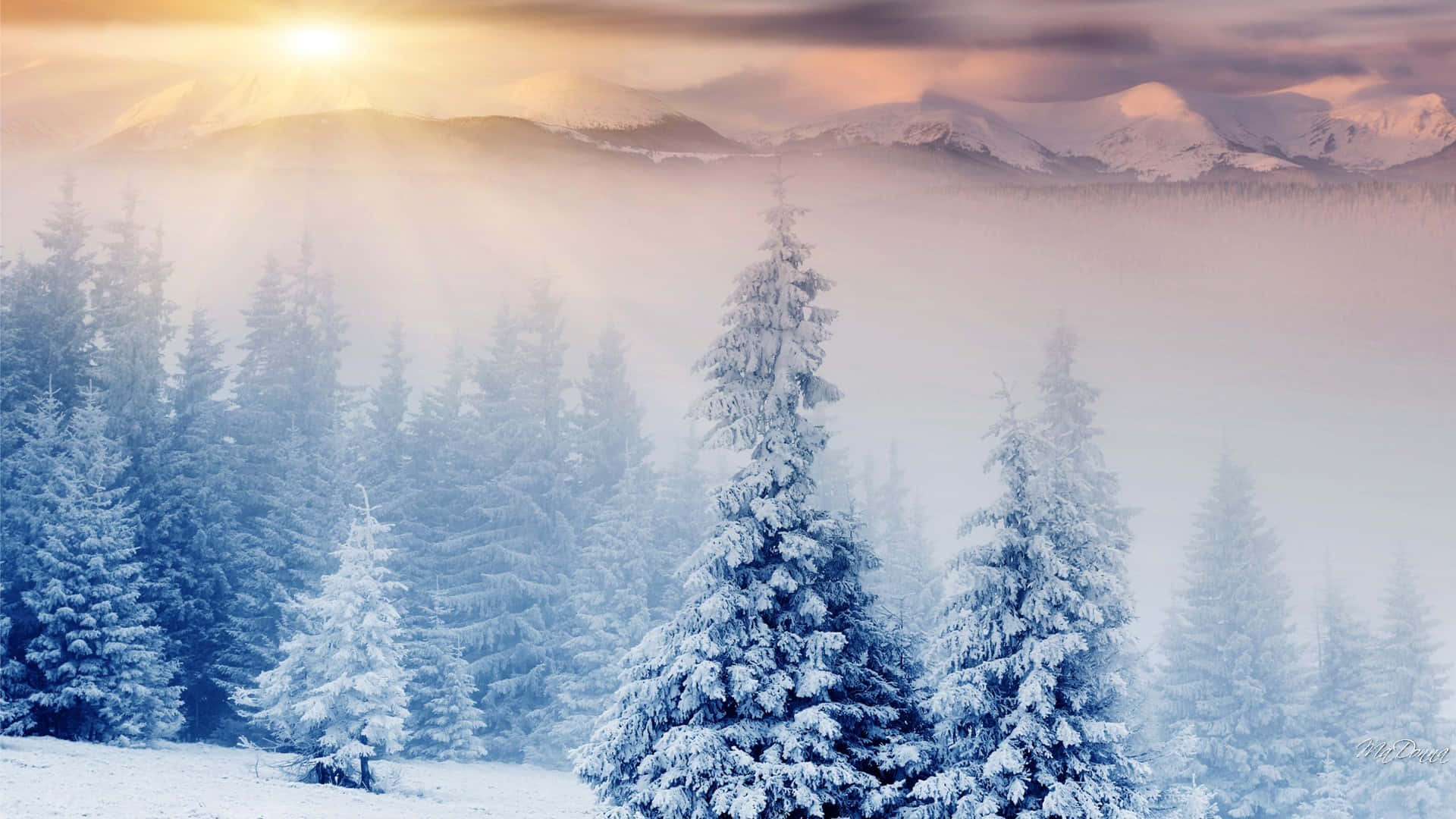 Auringonnousu talvisen ihmemaan yllä Taustakuvat