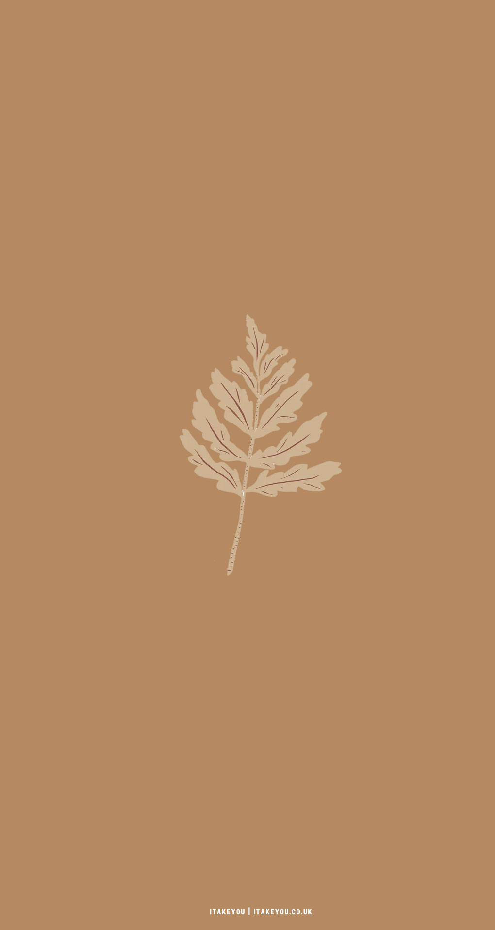 Beige Brown Aesthetic Vaahteranlehti Taustakuvat