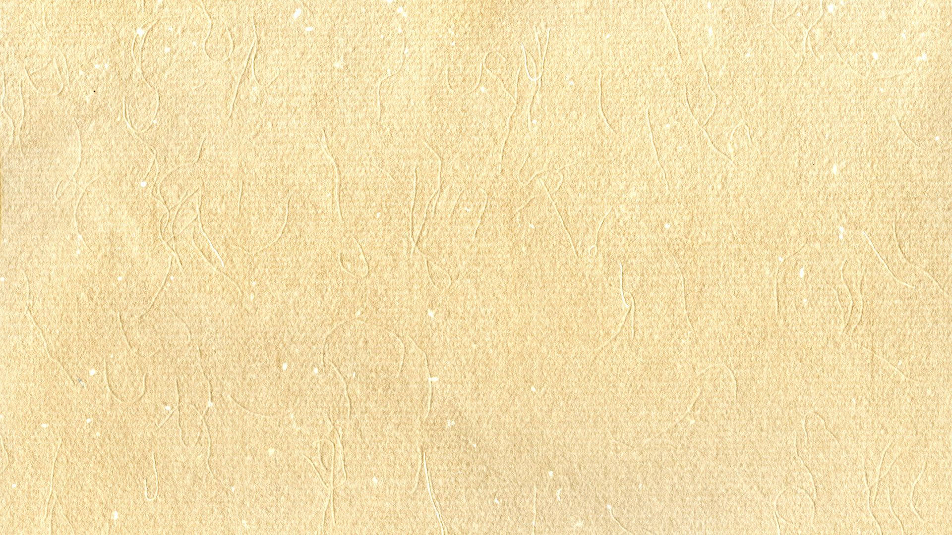Beige taustapaperin tekstuuri Taustakuvat