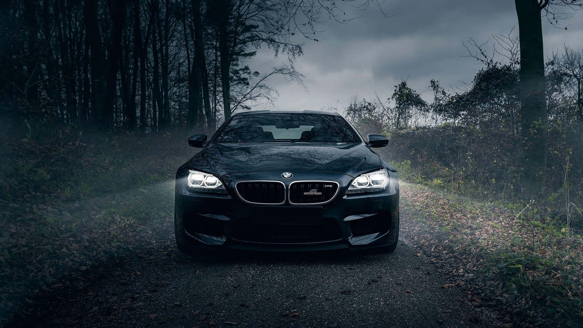 BMW 1920x1080 Ajaminen Yö Metsä Taustakuvat