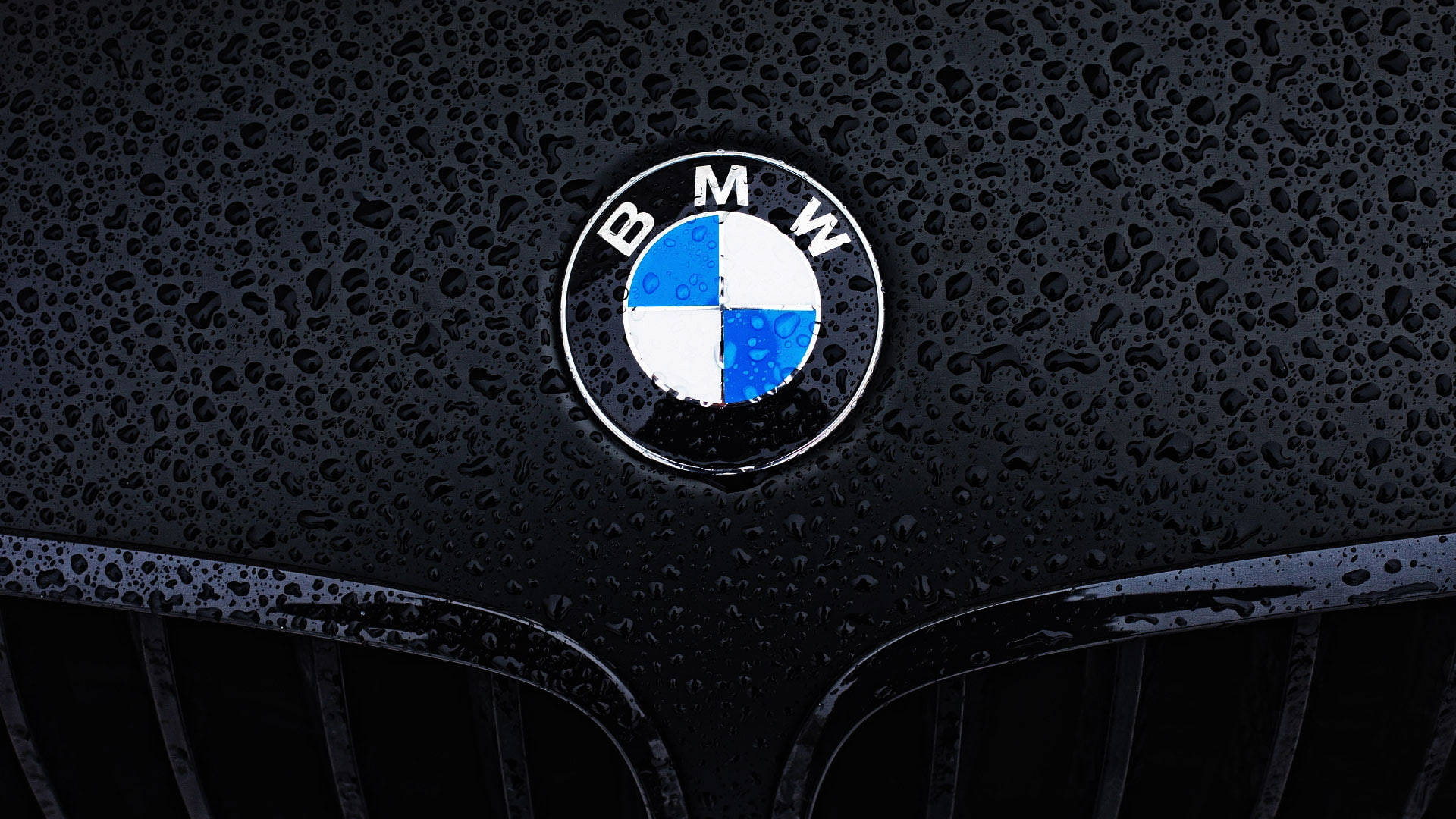 BMW-kannettavan logo lähikuvassa Taustakuvat
