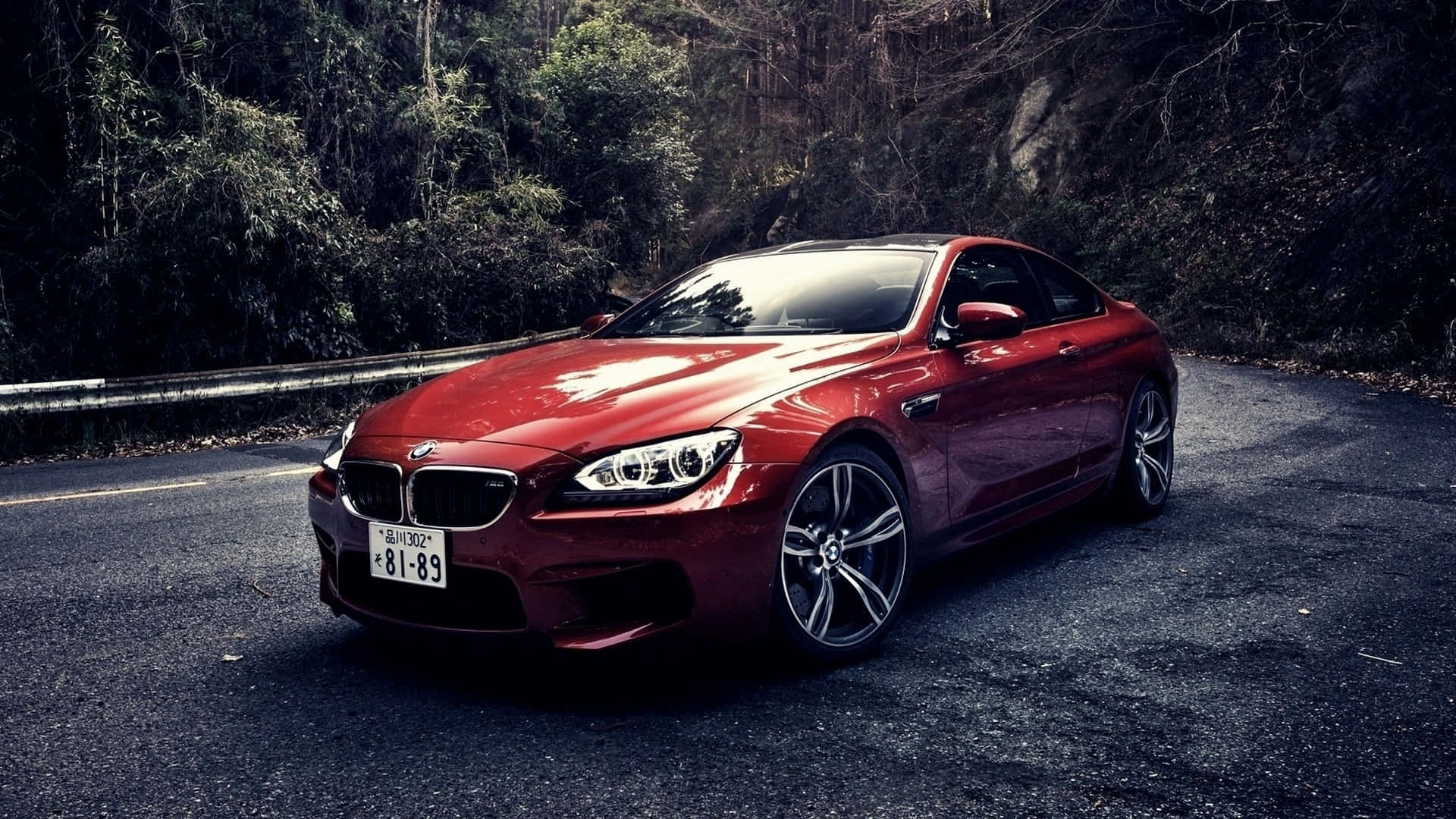 BMW-tausta tie metsän keskellä Taustakuvat