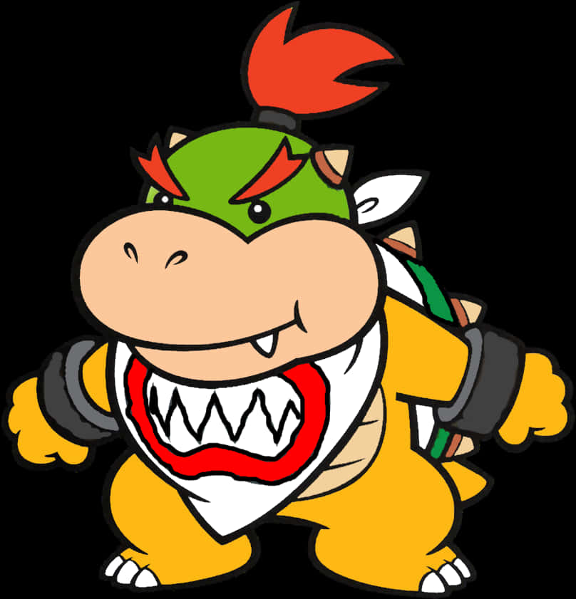 Bowser - Animoitu hahmokuva Taustakuvat