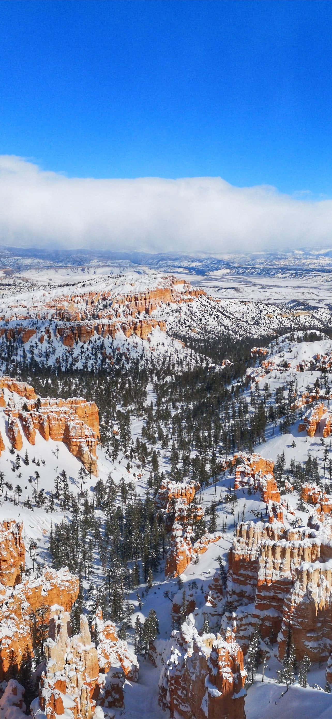 Bryce Canyonin kansallispuiston syvä lumi Taustakuvat
