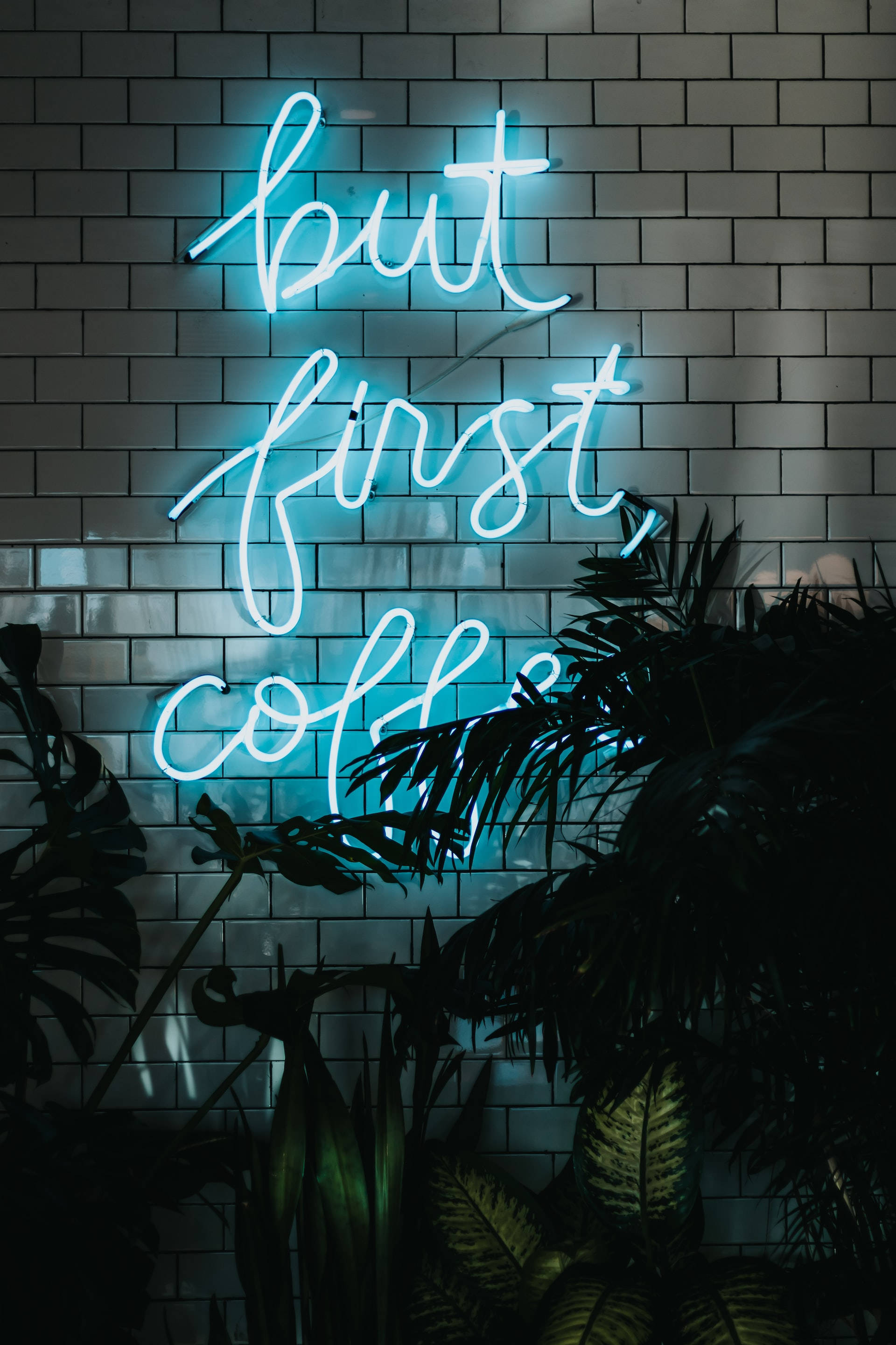 "But First Coffee" neoninsinisessä iPhonessa Taustakuvat