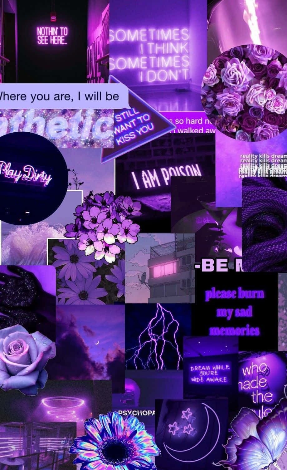 Cali-tyylin purppura baddie sassy-ilmeillä Taustakuvat