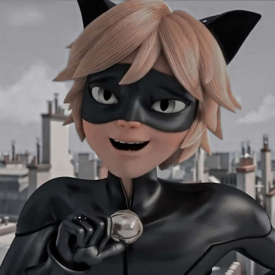 Cat Noir, Pariisin suojelija Taustakuvat