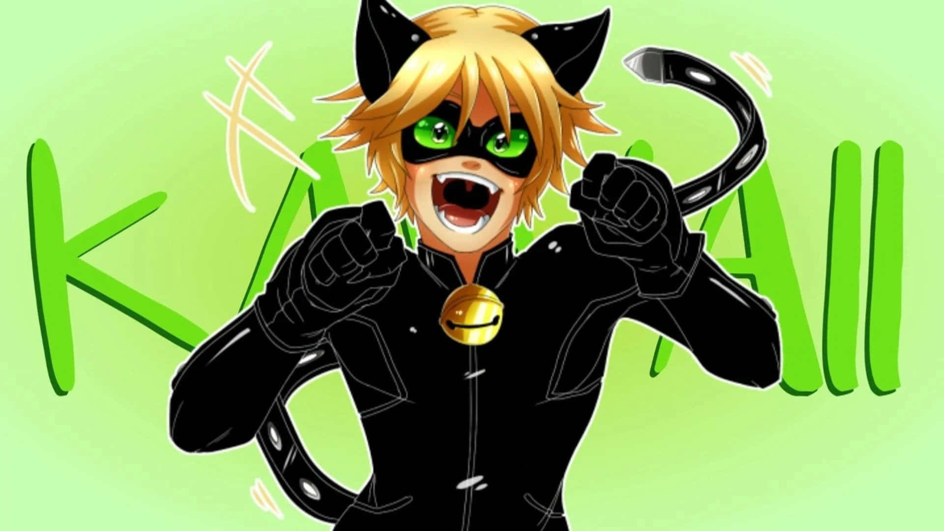 Cat Noir partioi reviirillään Taustakuvat