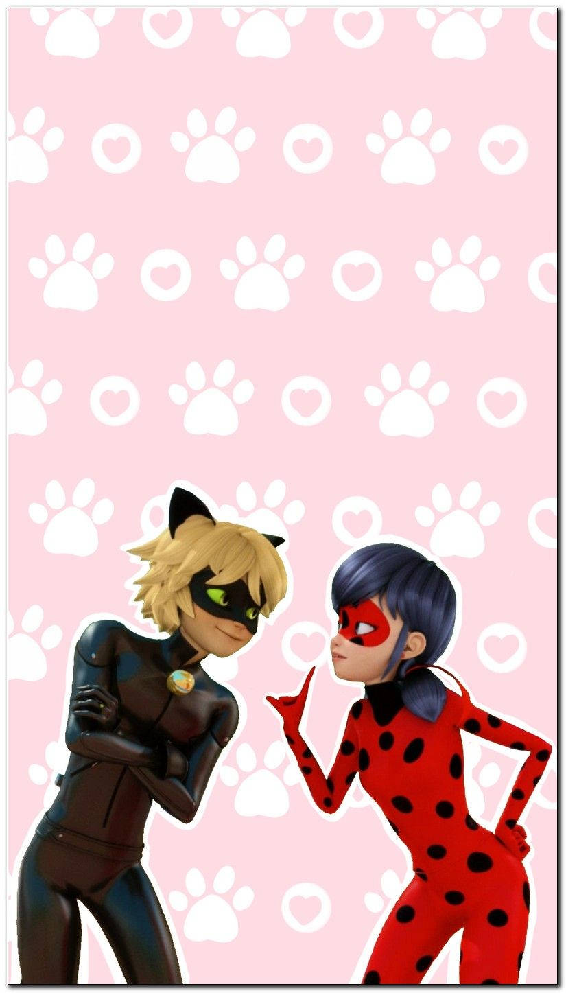 Cat Noir tassut ja sydän Taustakuvat