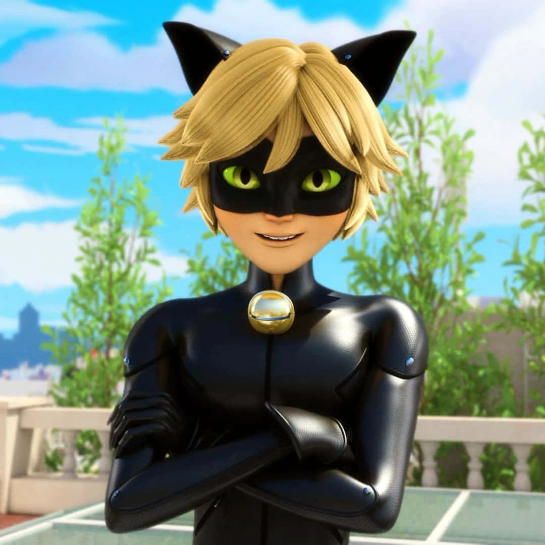 Cat Noir – Yövartija Taustakuvat