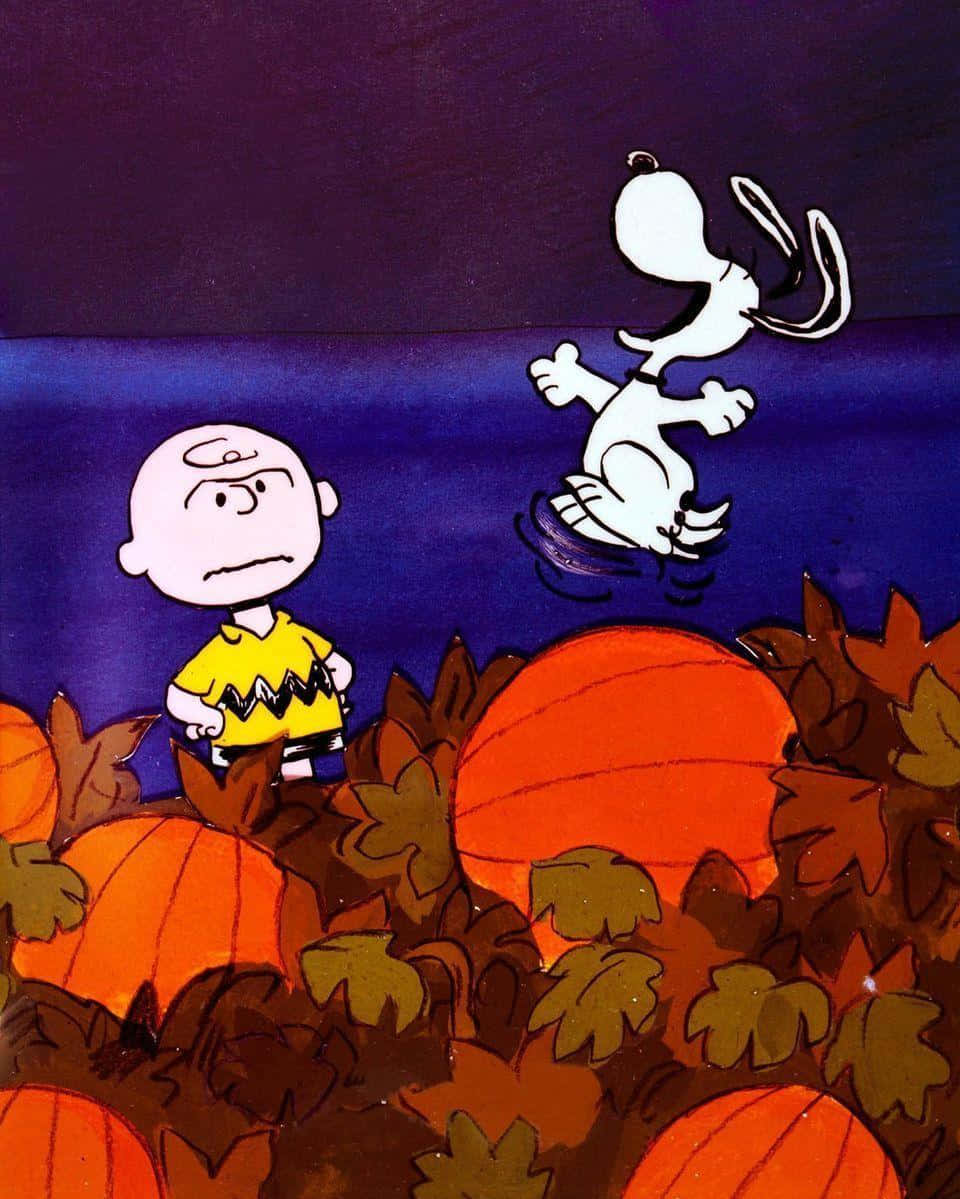 charlie brown ja peanuts kurpitsapellolla Taustakuvat