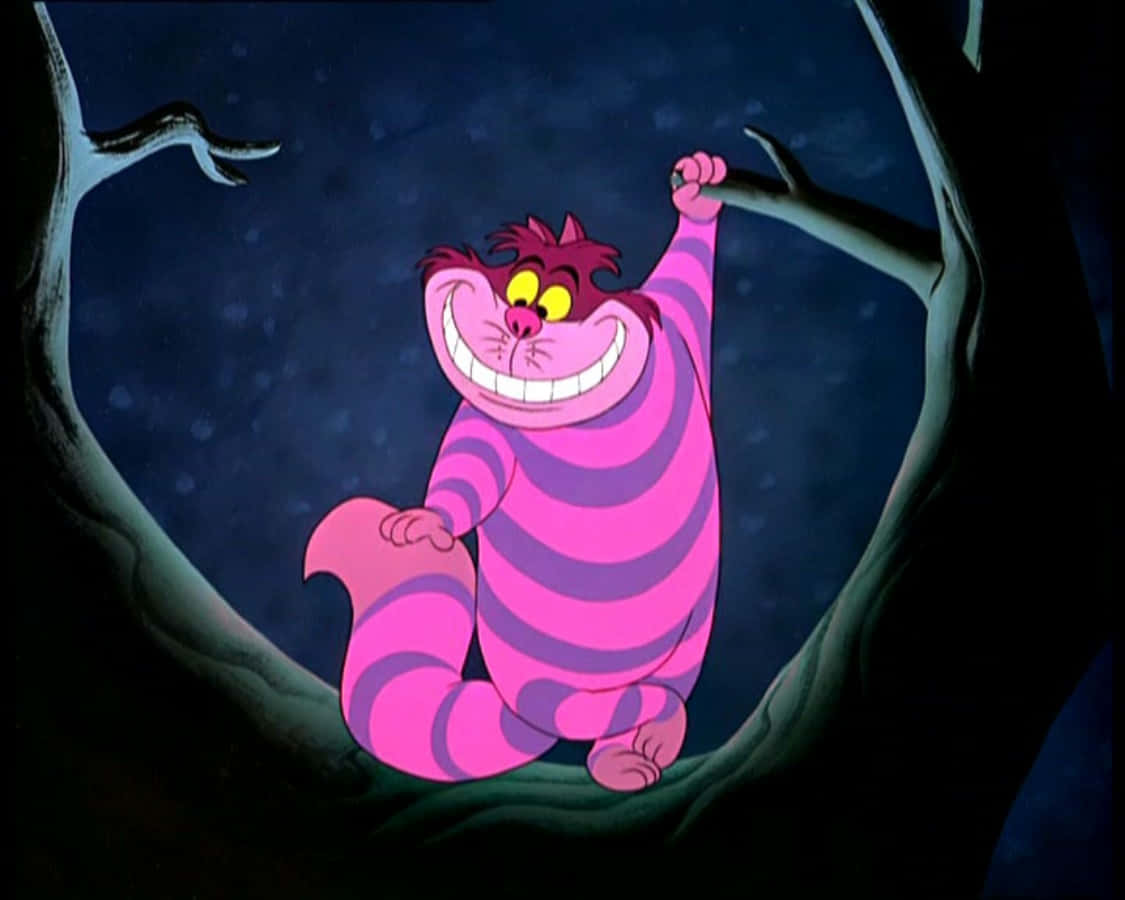 Cheshire-kissa virnistää veikeästi Taustakuvat