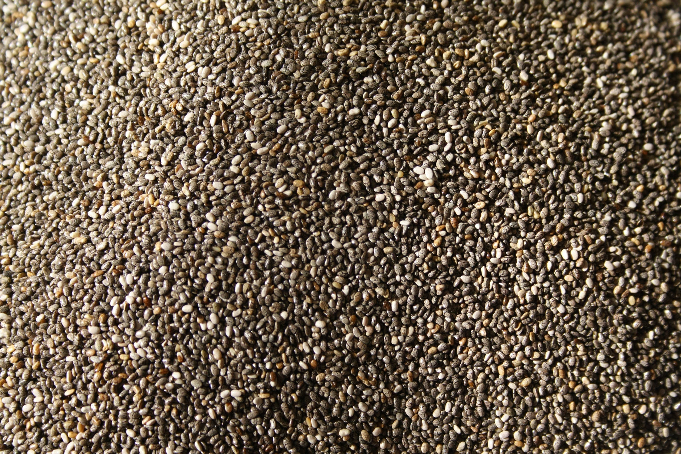 Chia-siemeniä kuin hiekkaa Taustakuvat