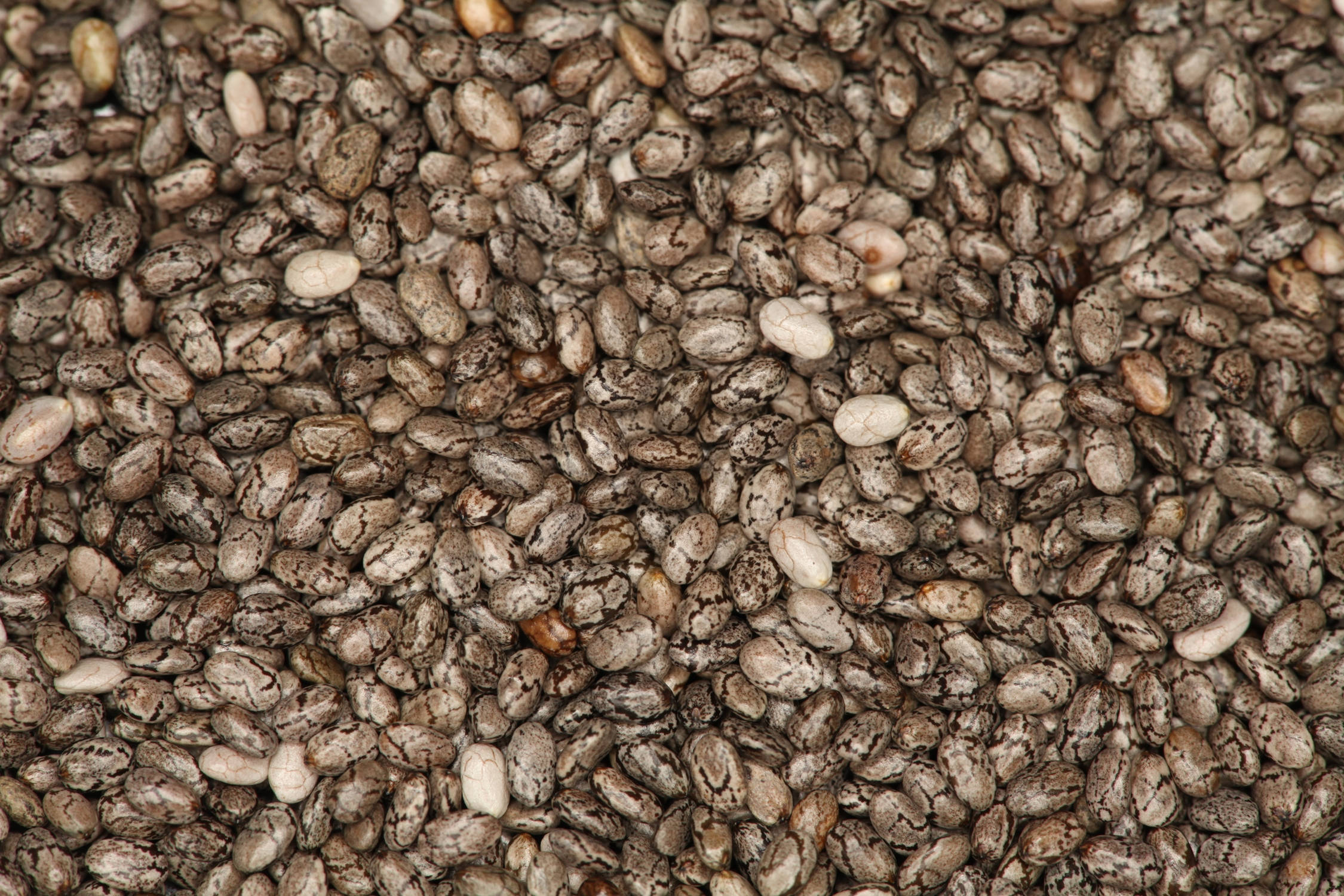 Chia-siemenlevite Taustakuvat